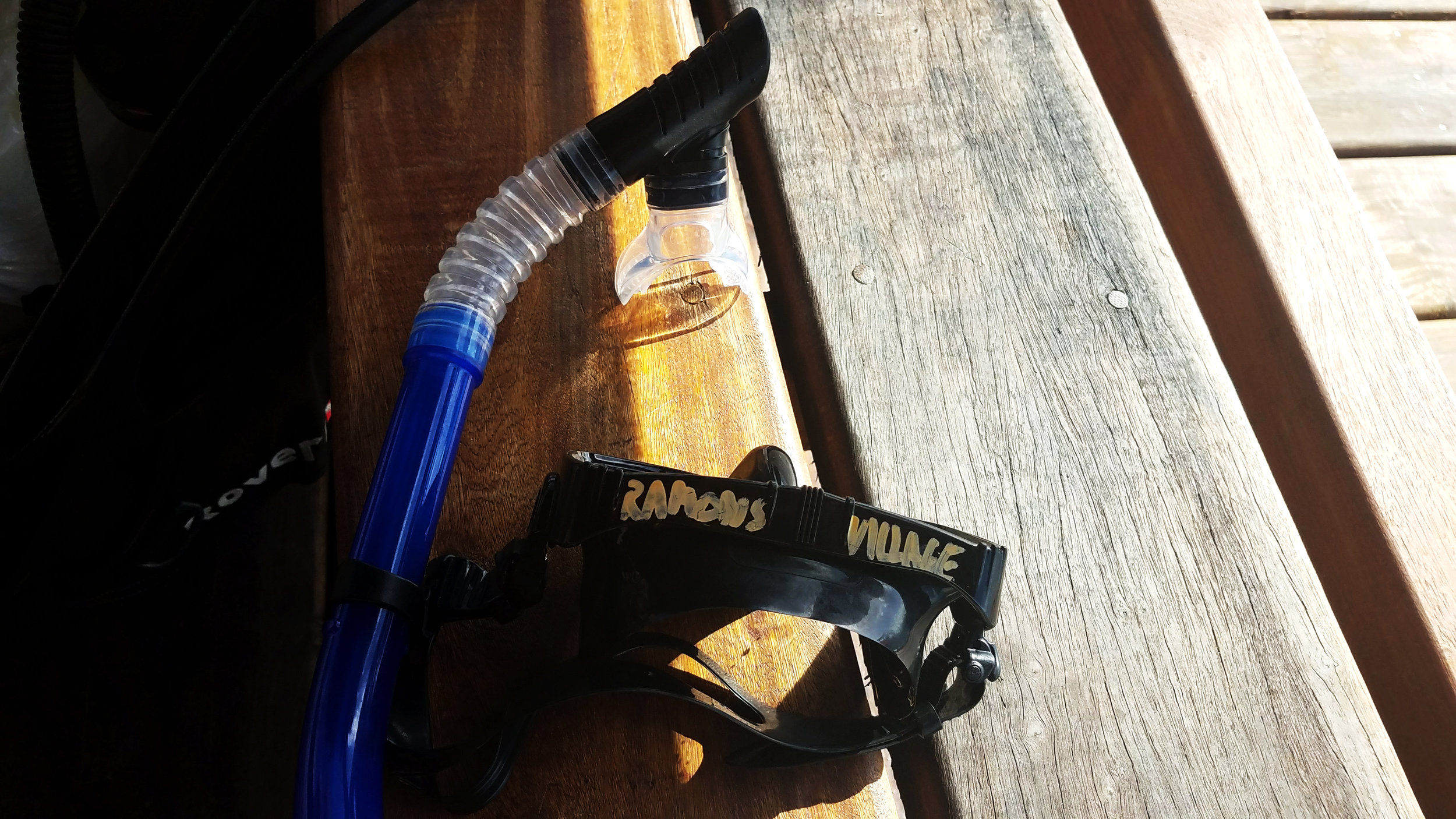 My first day of Scuba lessons at Ramon’s Village, and I was simultaneously elated and terrified.