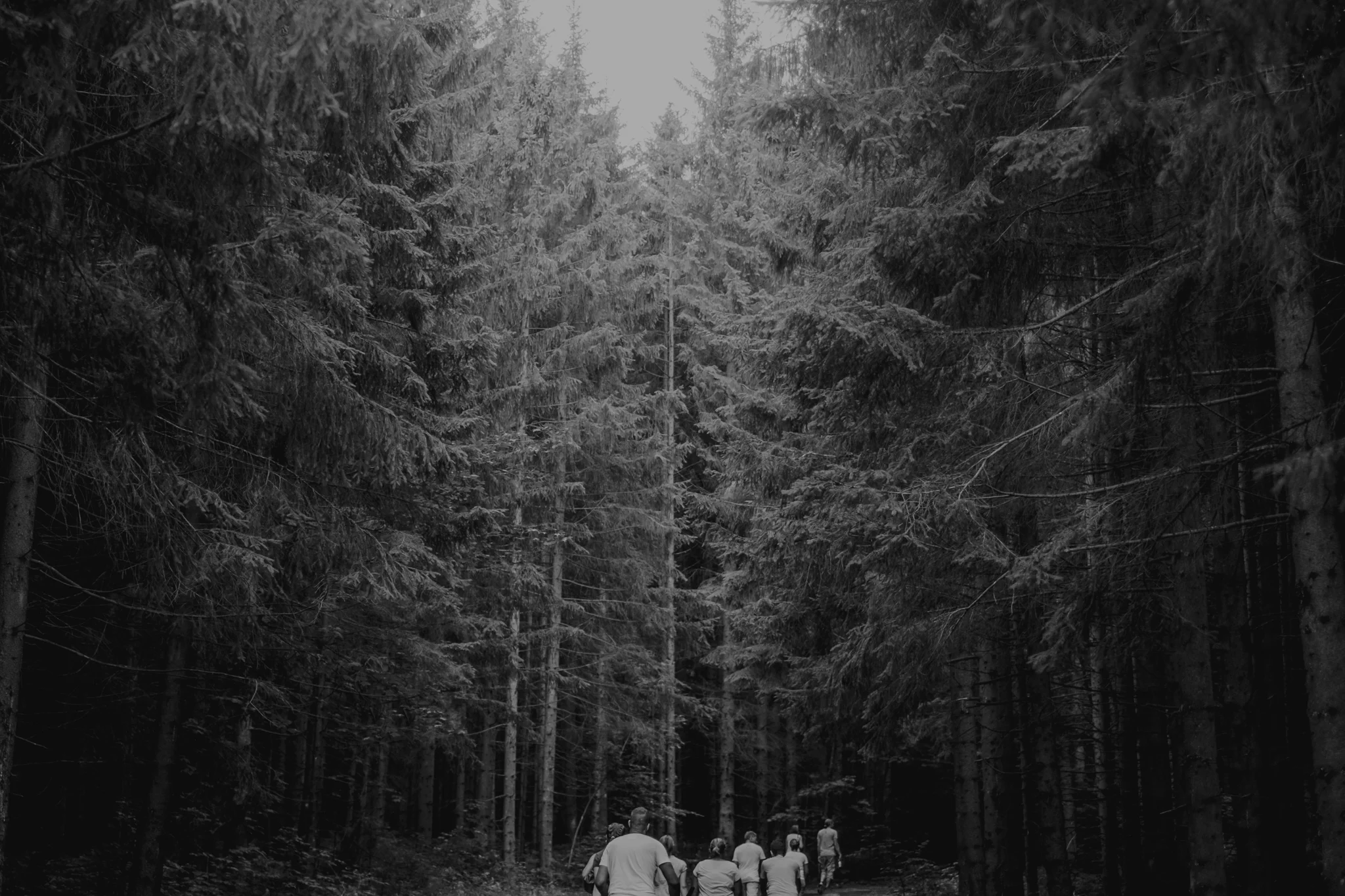 German_wedding_Oli_Sansom-0005.jpg