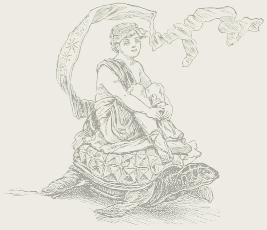 turtle3.jpg