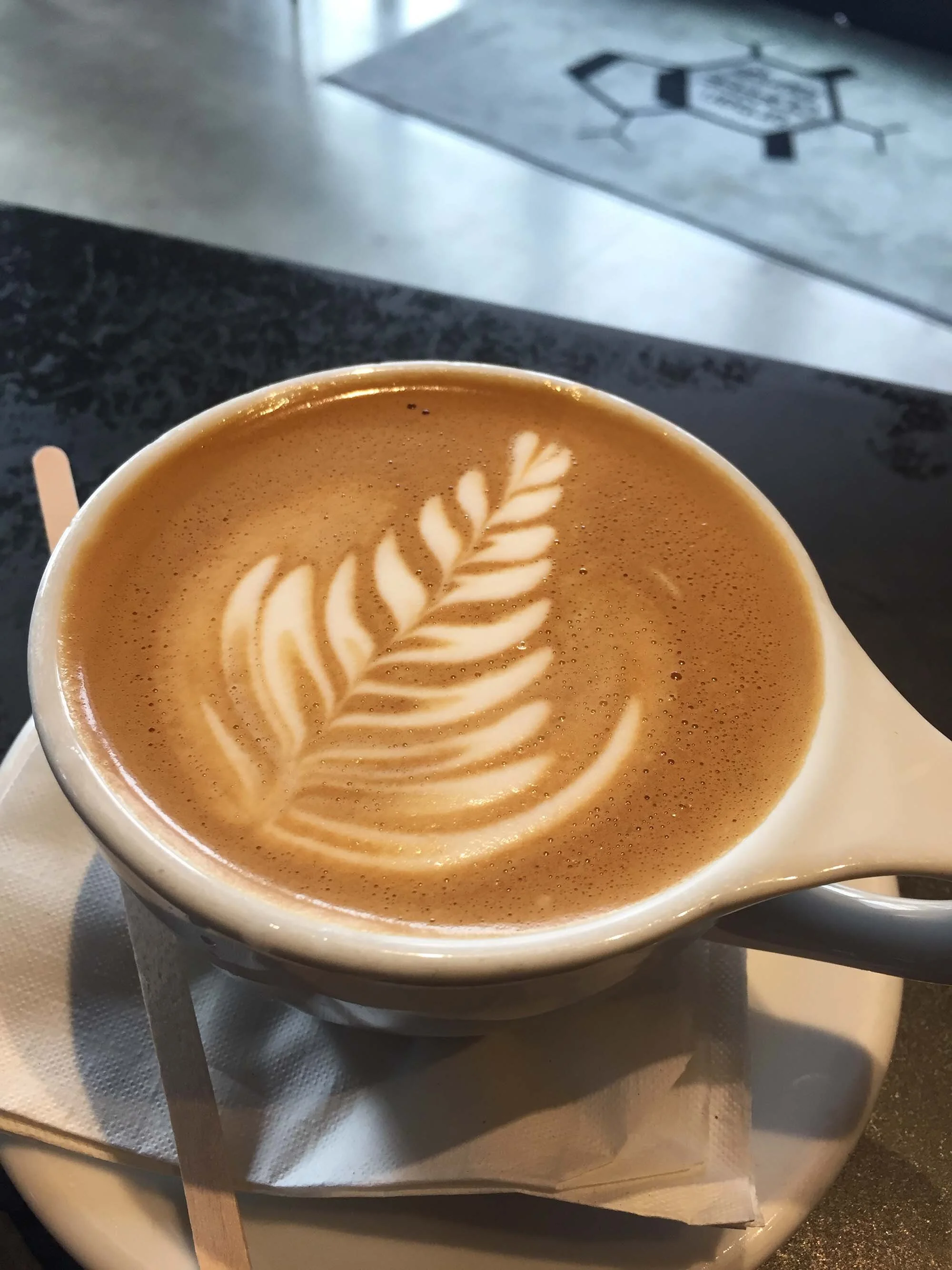 2017-01-26 12.36.05.jpg