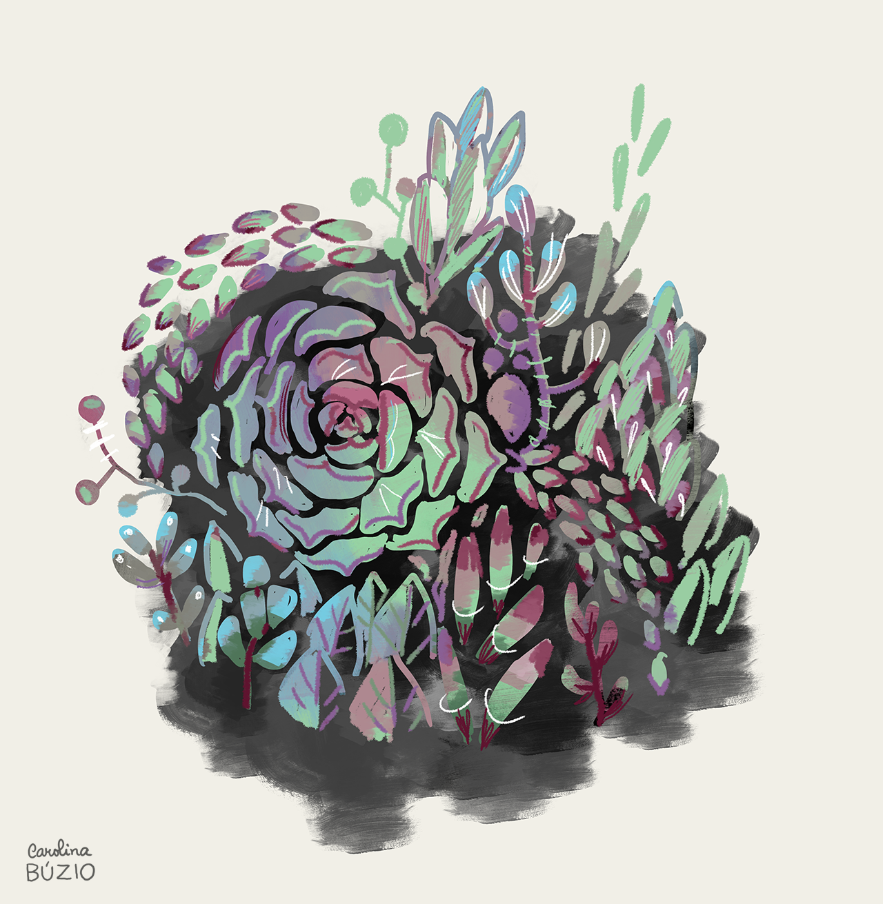 12_succulents_byCarolinaBuzio.png