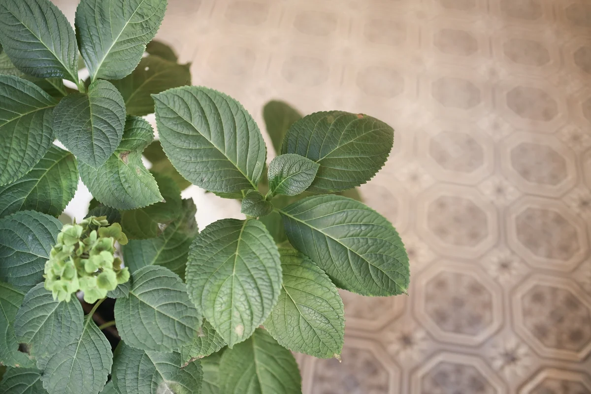 1 (14 von 51)-20150119.jpg