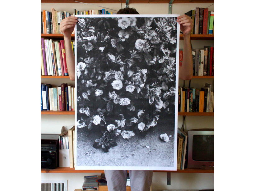 Foto & Poster by Debbie Carlos