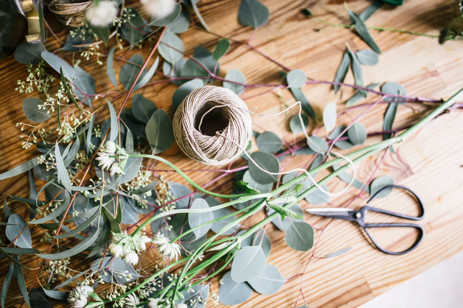 Zu euch bei Bloomage Daydream