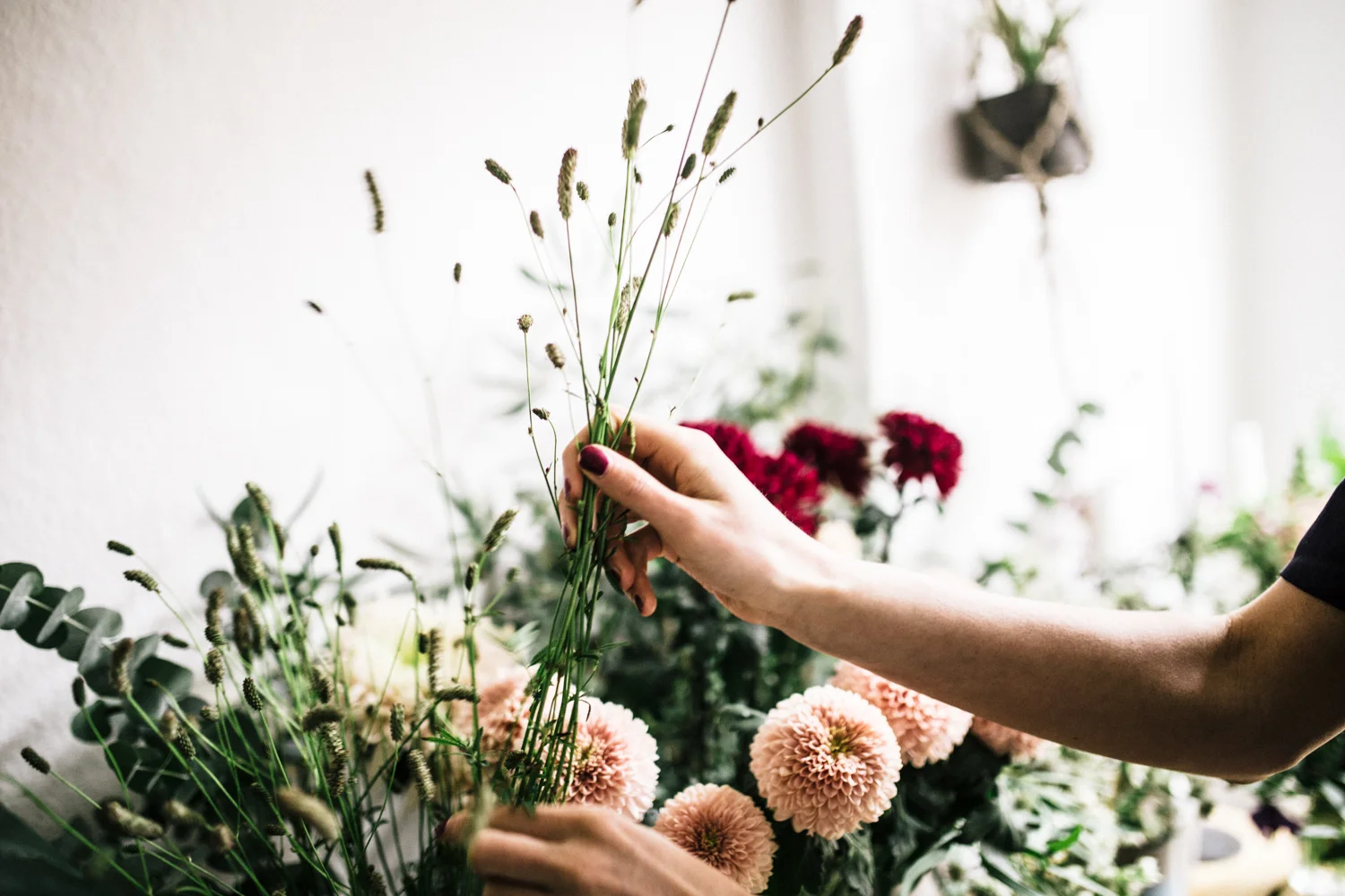 Zu euch bei Bloomage Daydream