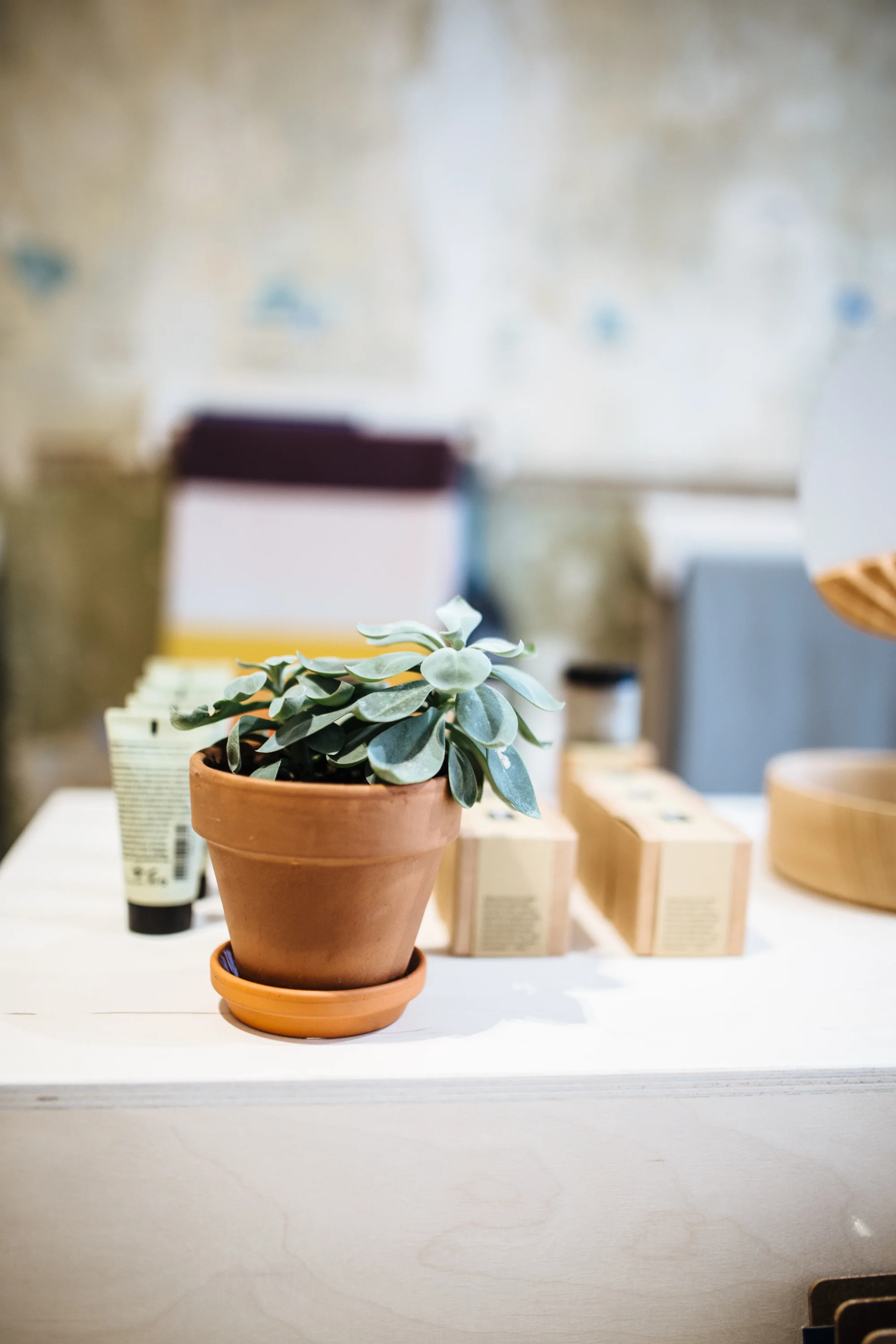 Amodo, Linienstraße 150, Berlin