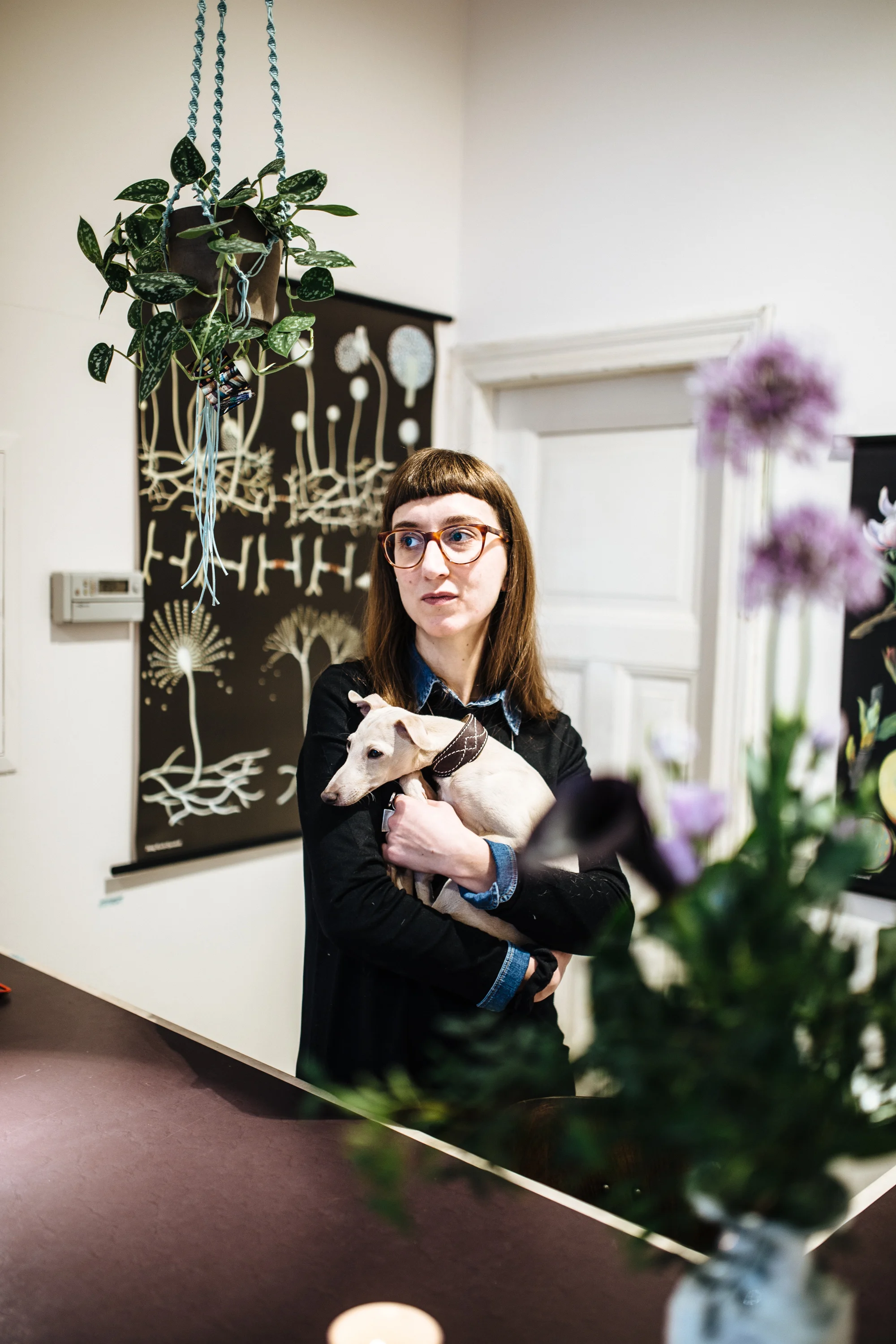 Amodo, Linienstraße 150, Berlin