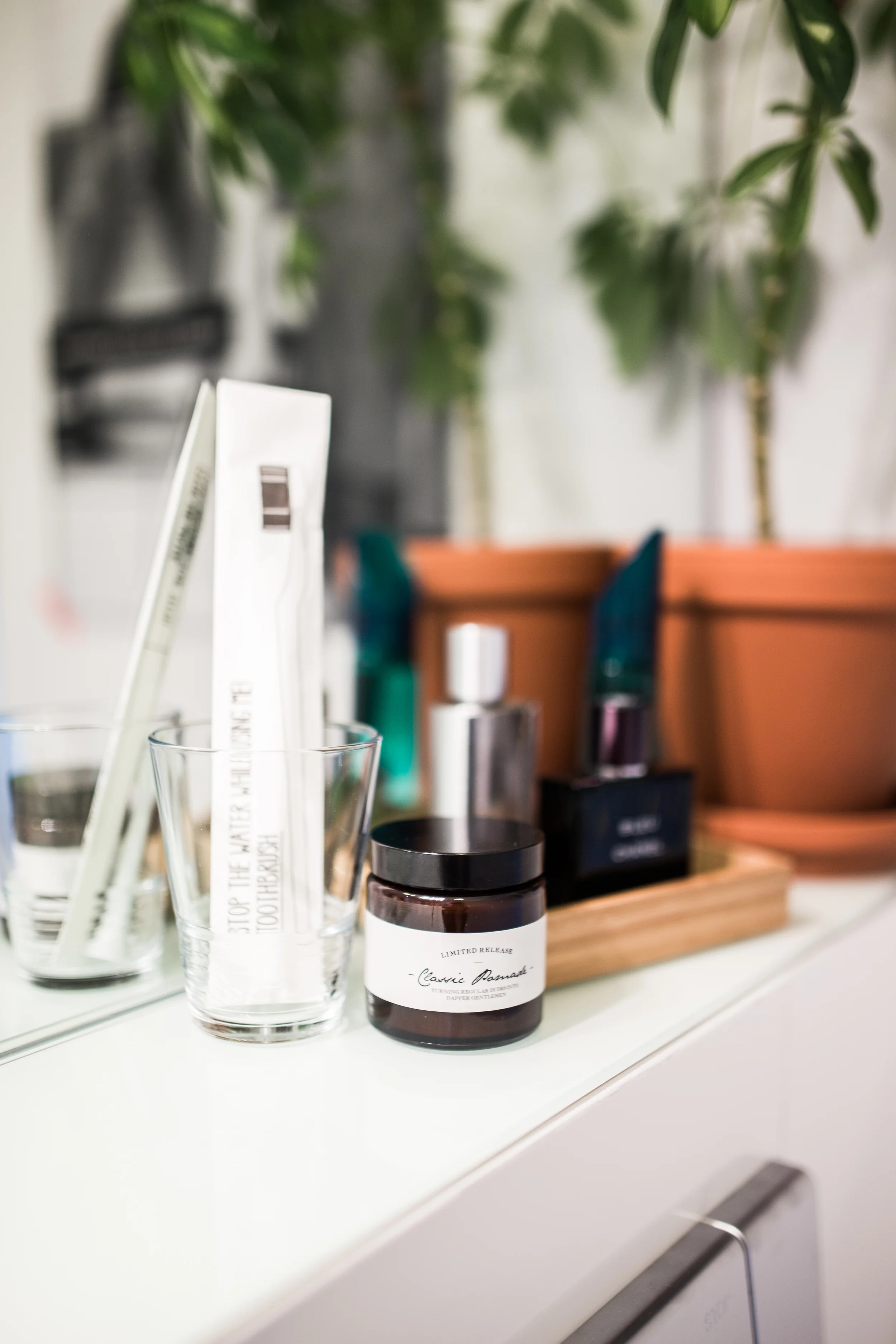 Zu Besuch bei Anselm