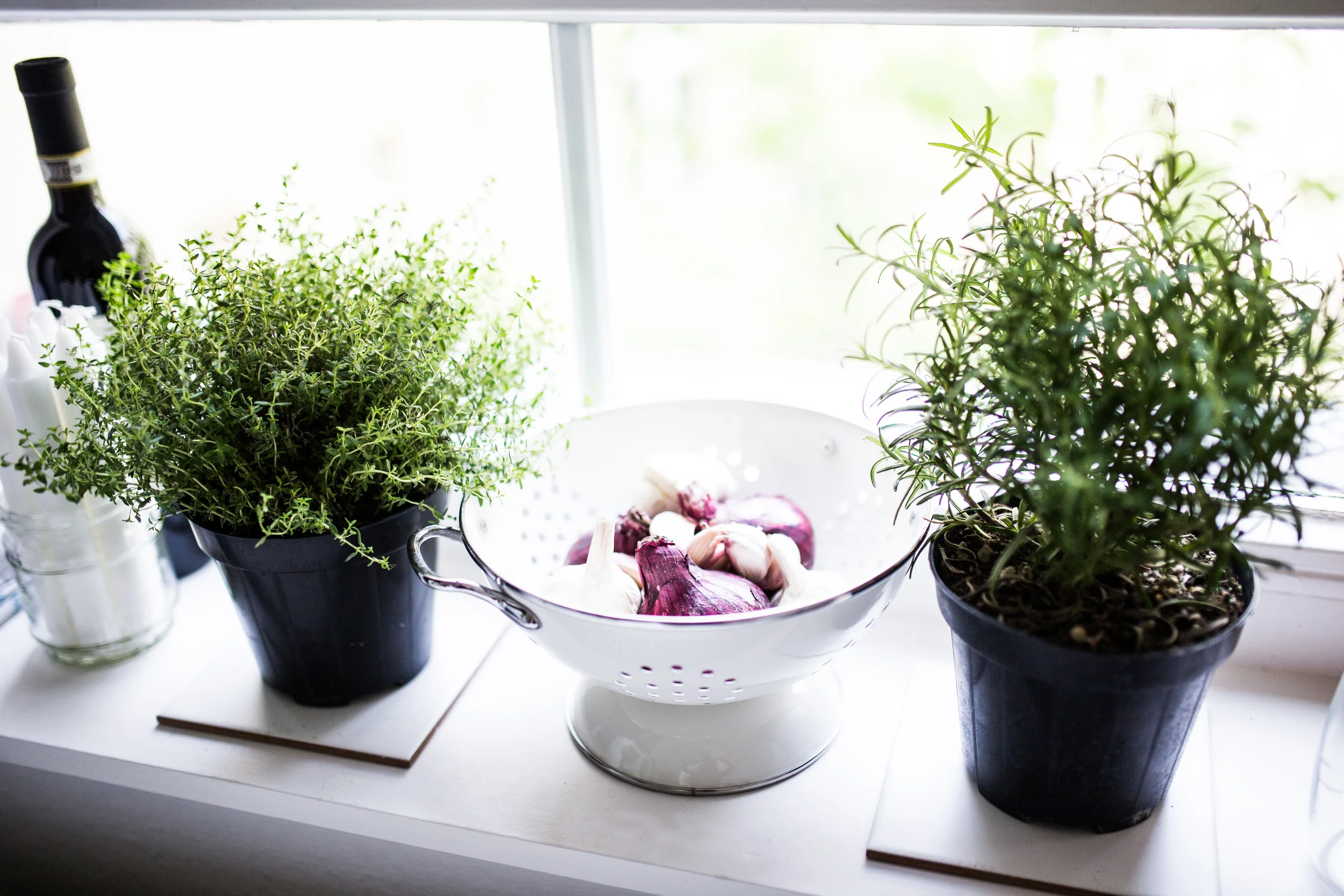 Zu Besuch bei Anselm