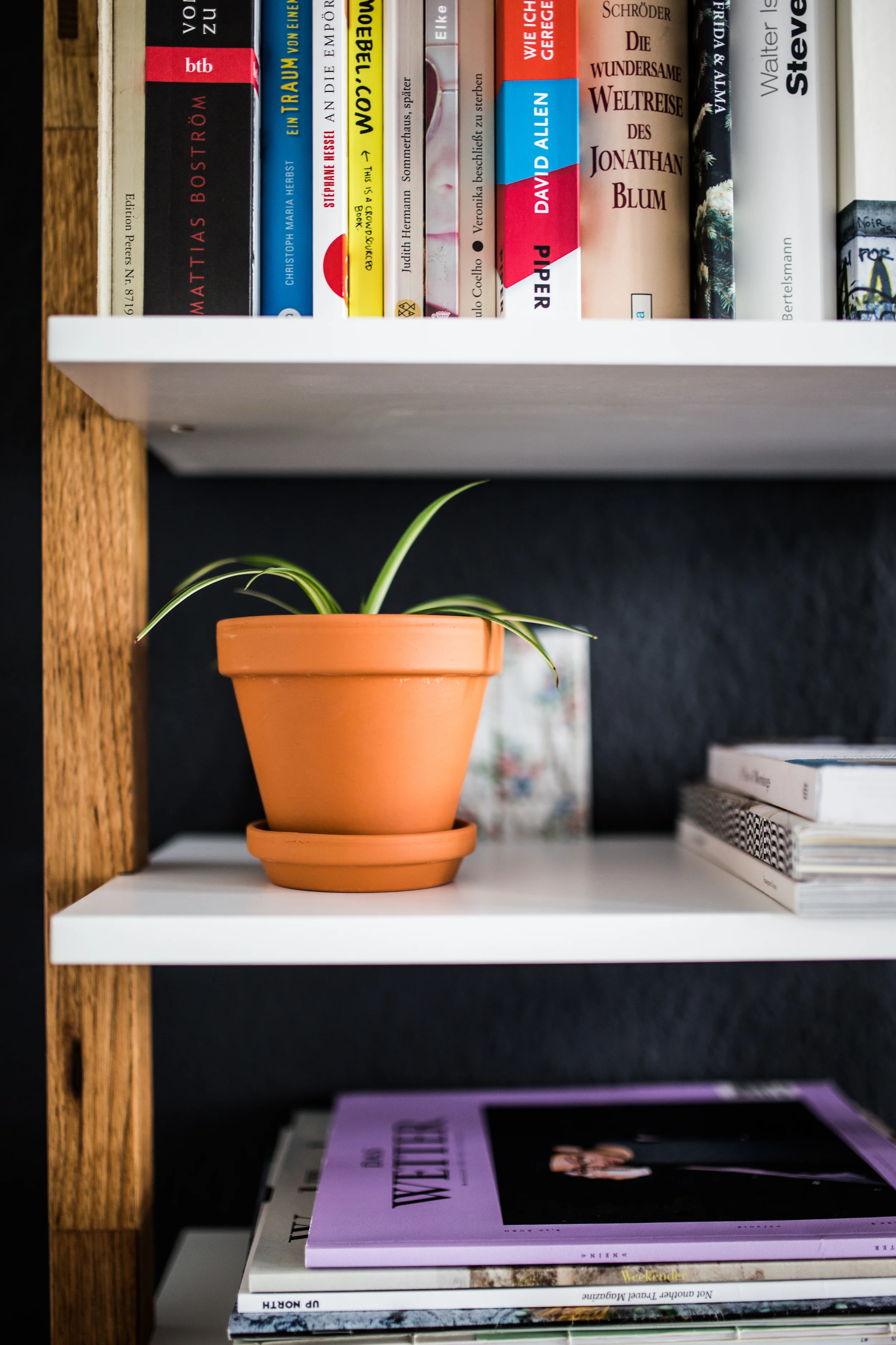 Zu Besuch bei Anselm