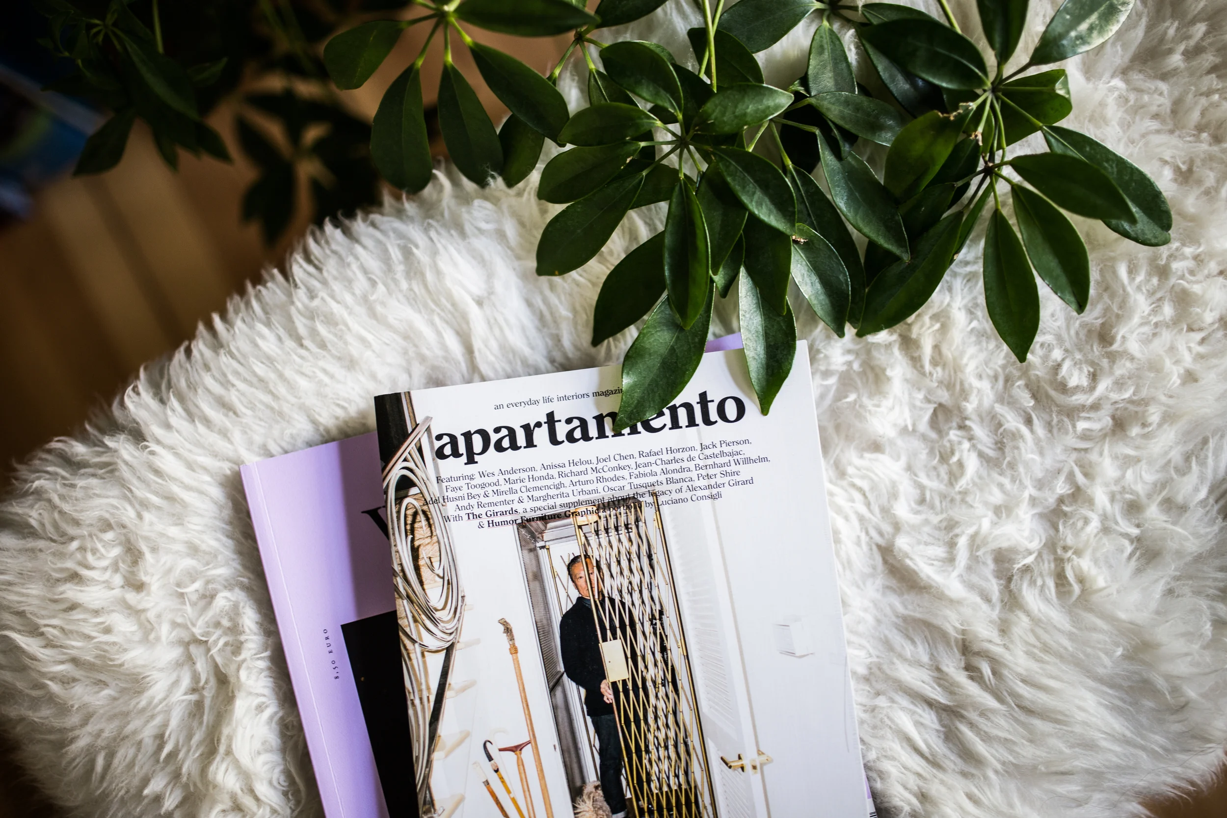 Zu Besuch bei Anselm