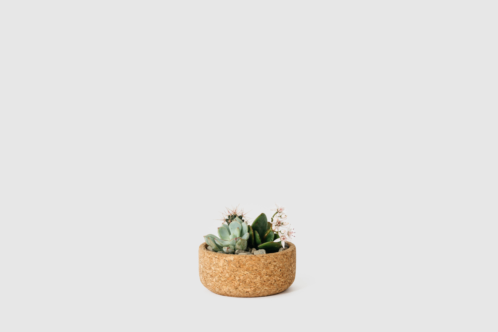 mini_planter_2.jpg