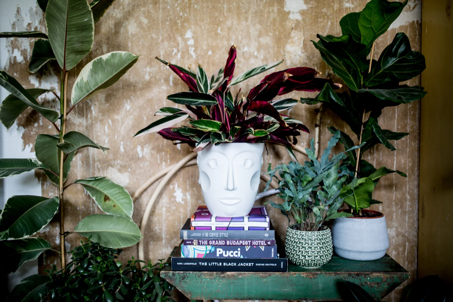 Herzstück: FACES-Kühler von Sieger by Fürstenberg