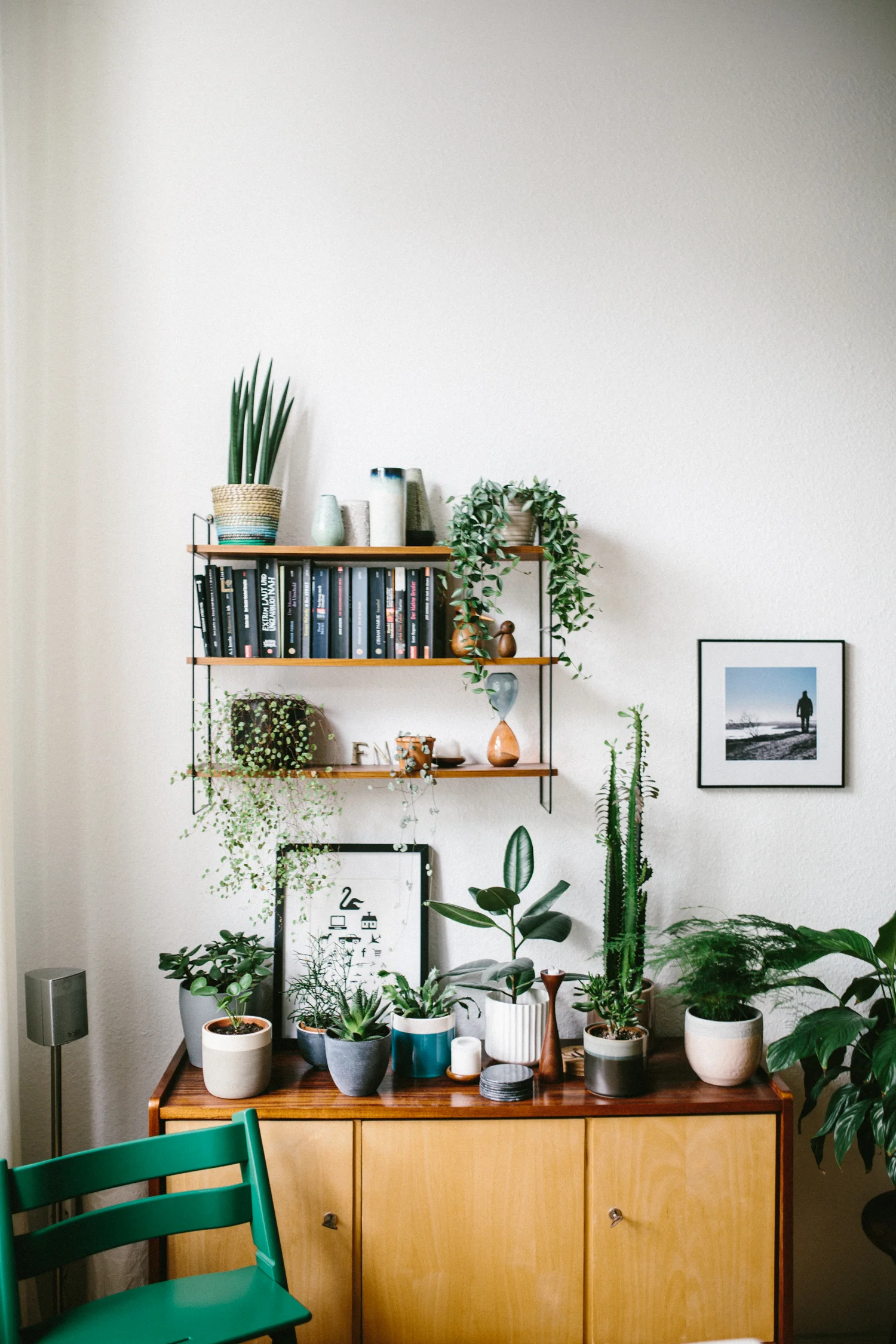 tripp trapp forest green