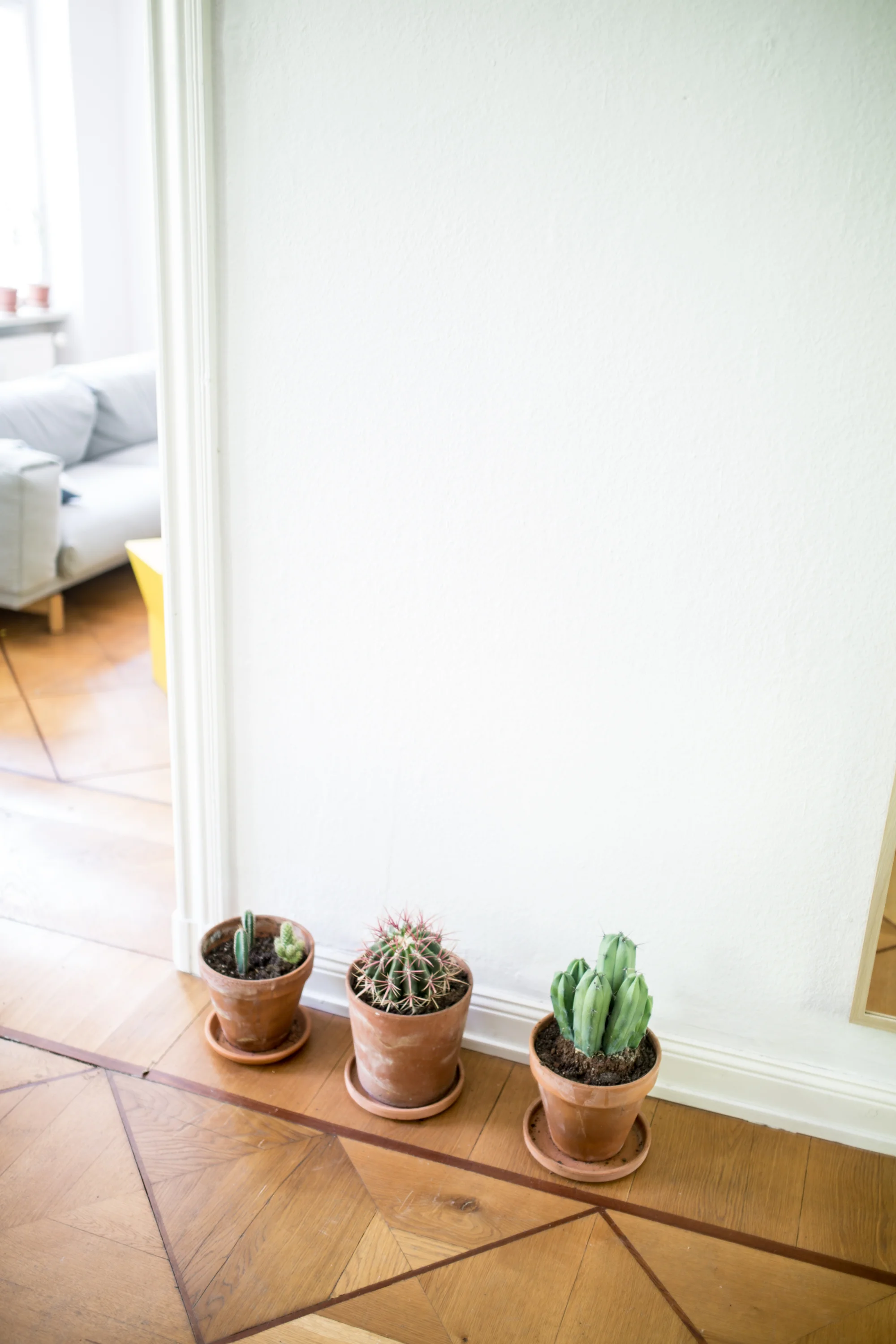 Zu Besuch bei Eike König