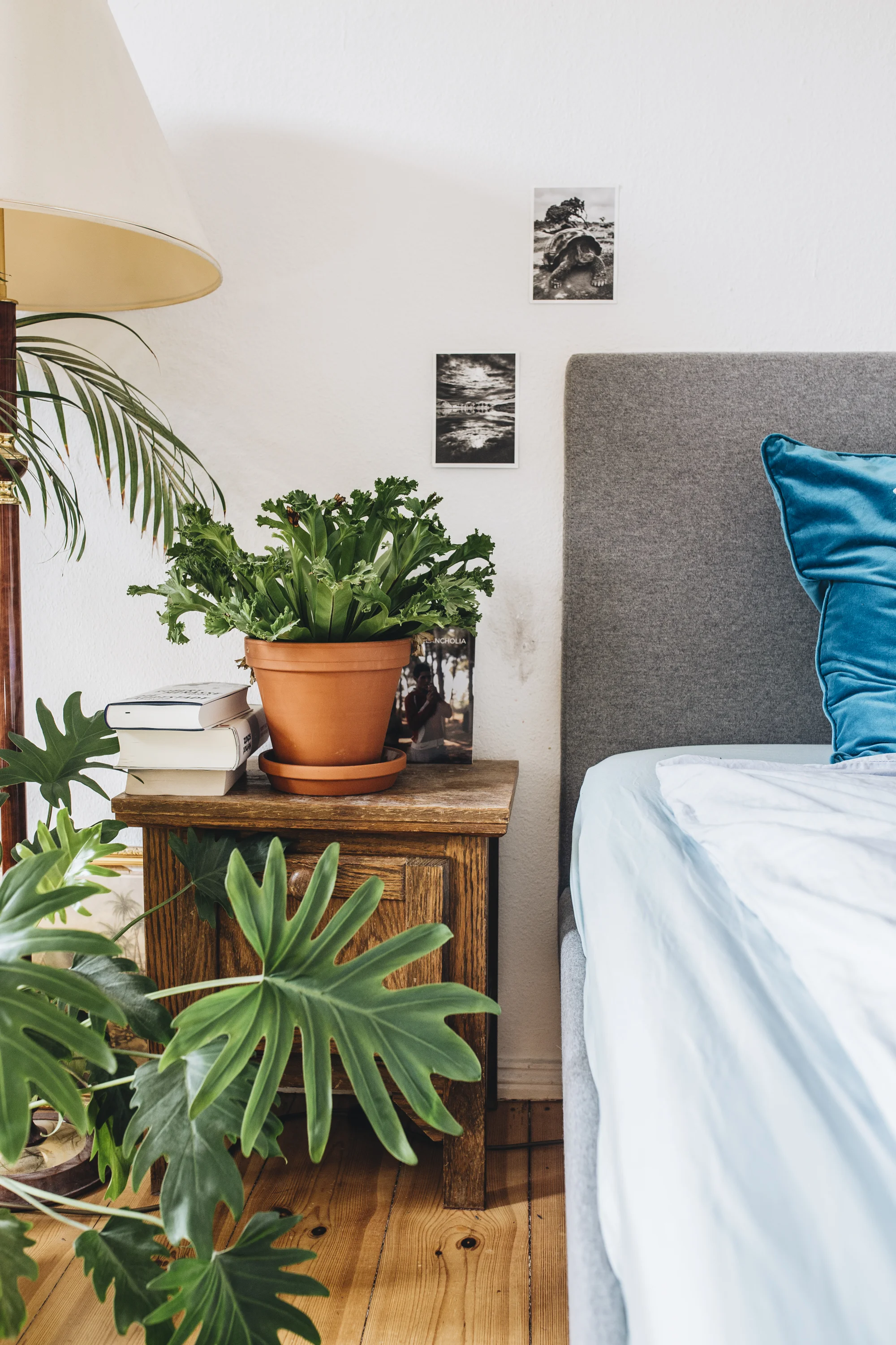 Kennst du schon das eve-Bett?