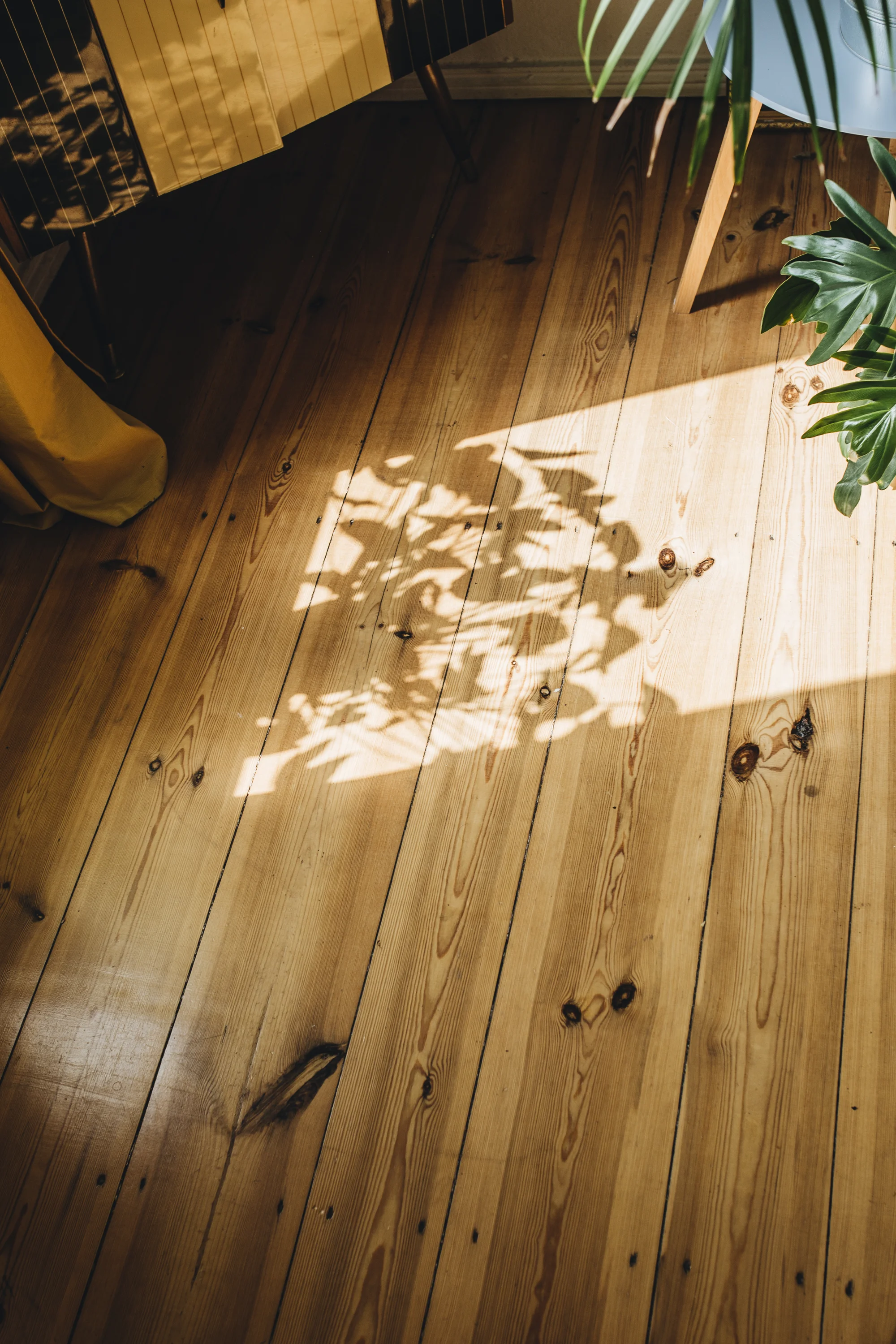 Kennst du schon das eve-Bett?