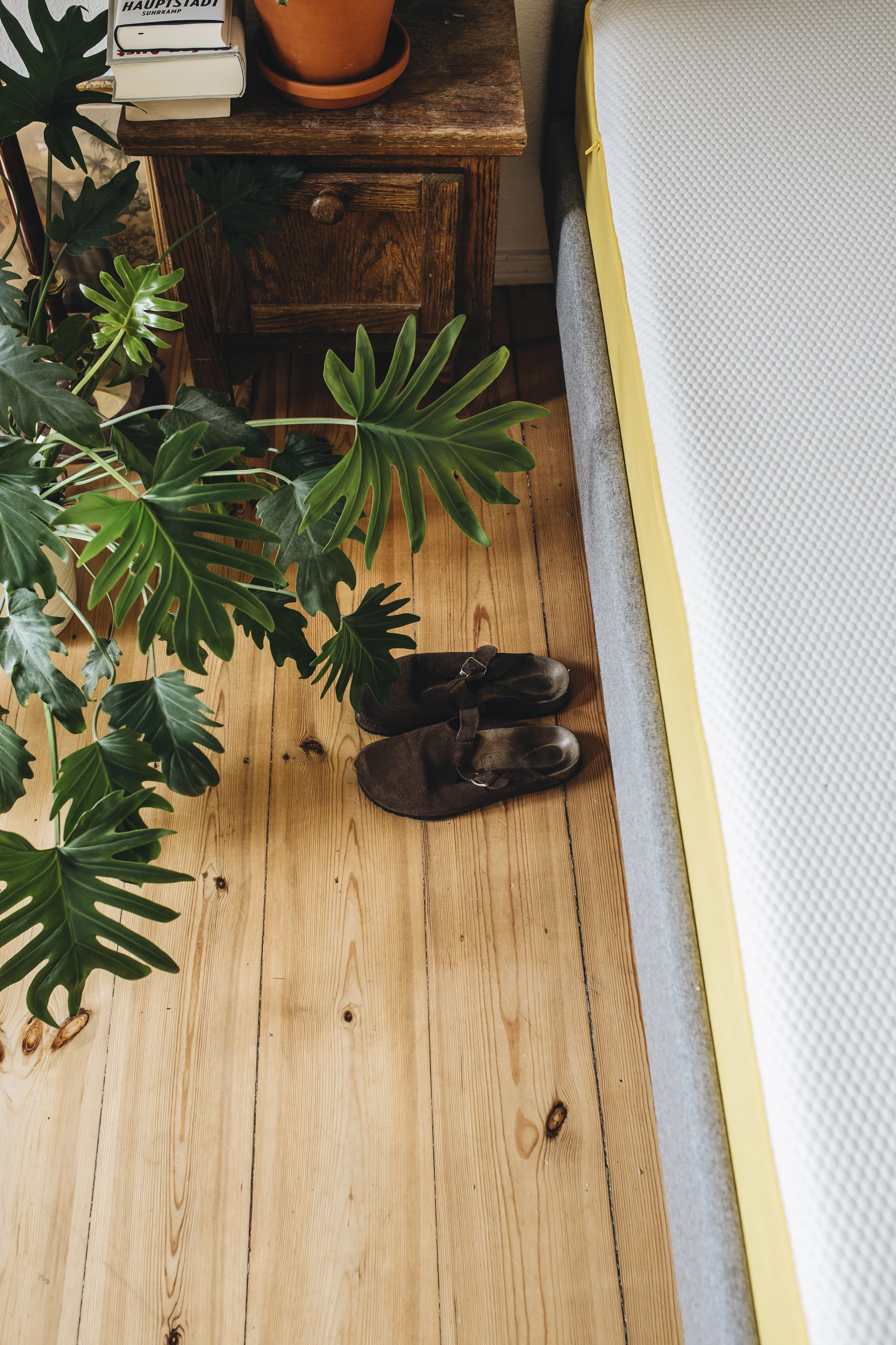 Kennst du schon das eve-Bett?