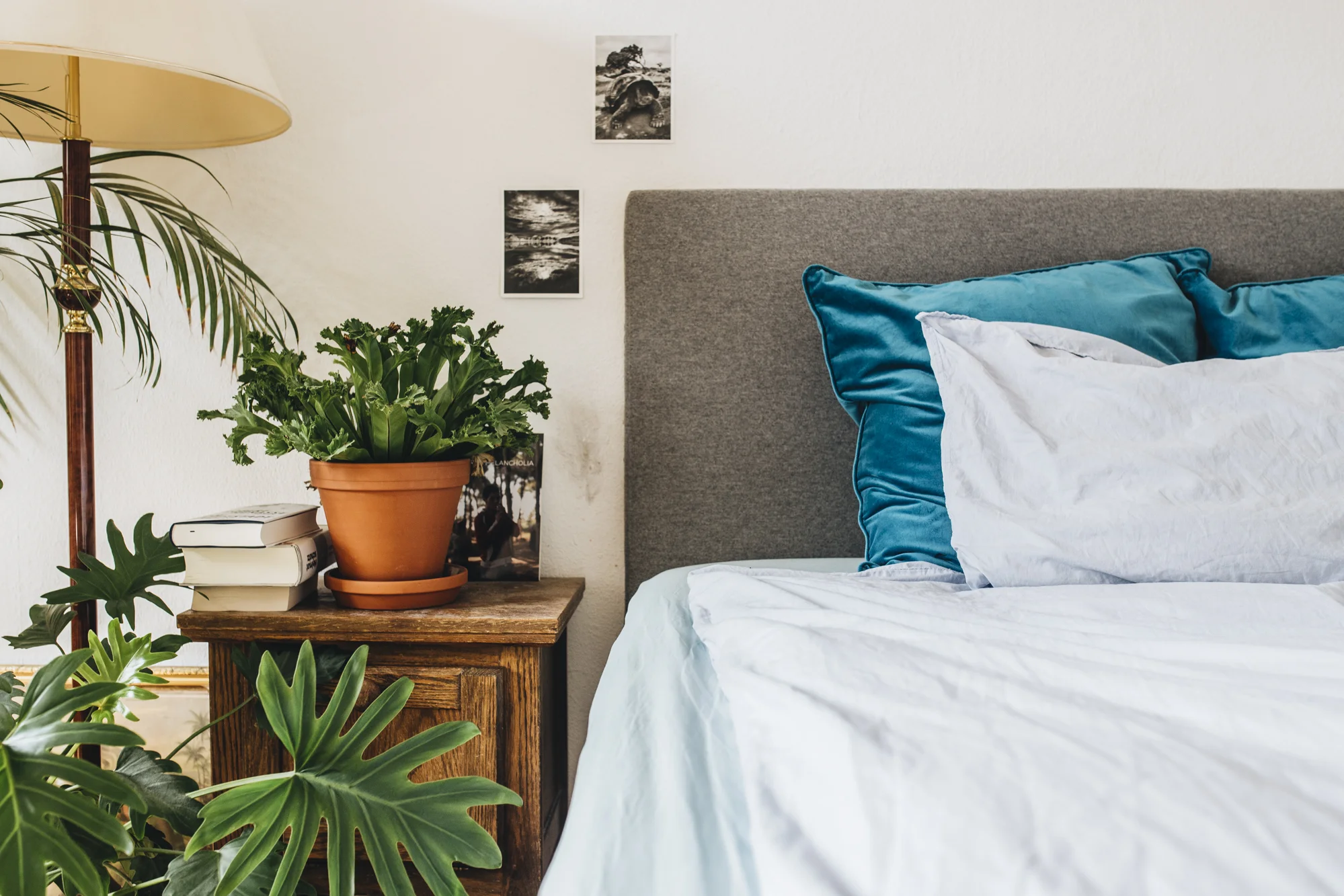 Kennst du schon das eve-Bett?