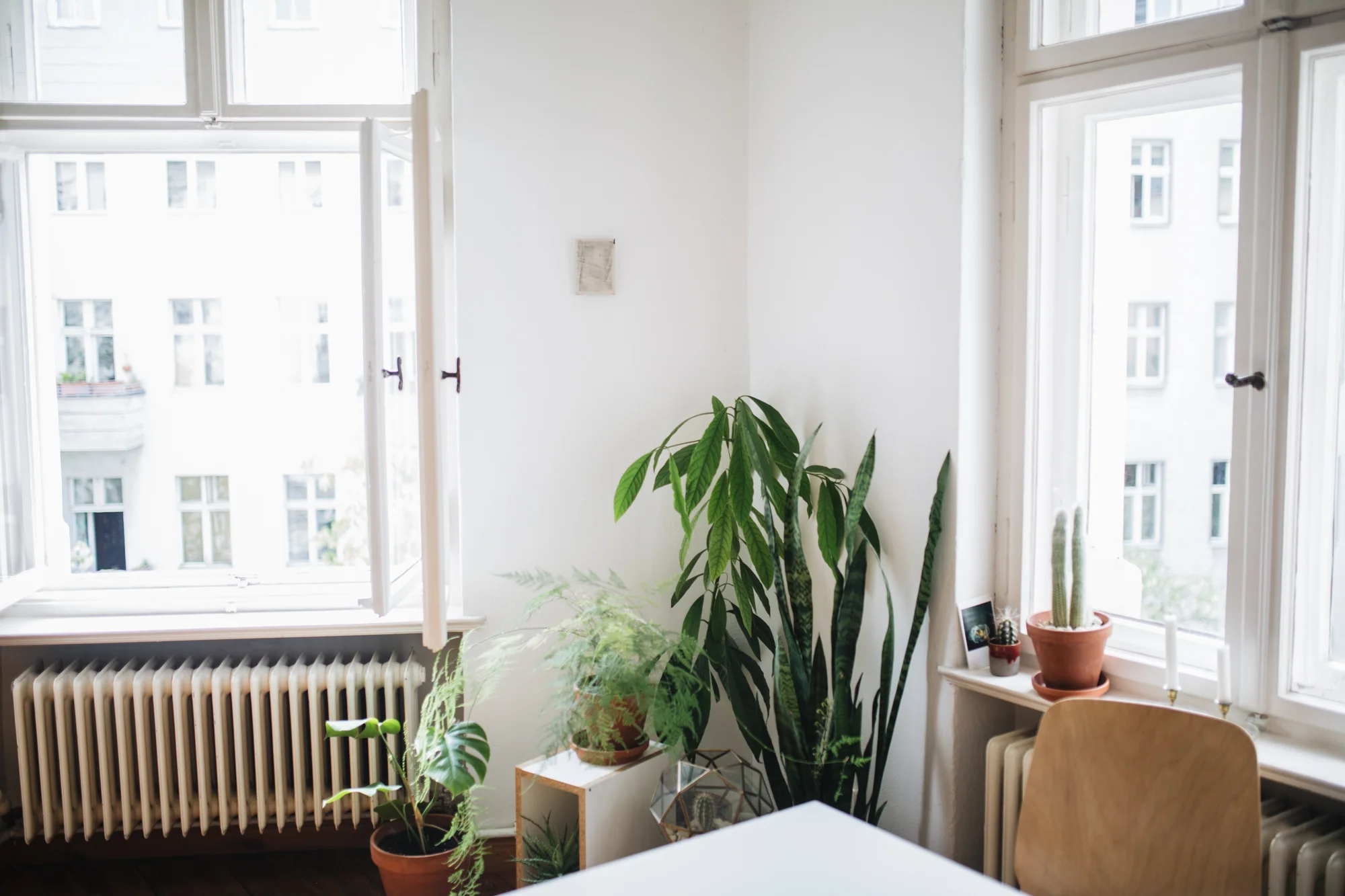 Zu Besuch bei den Machern von Acanthus