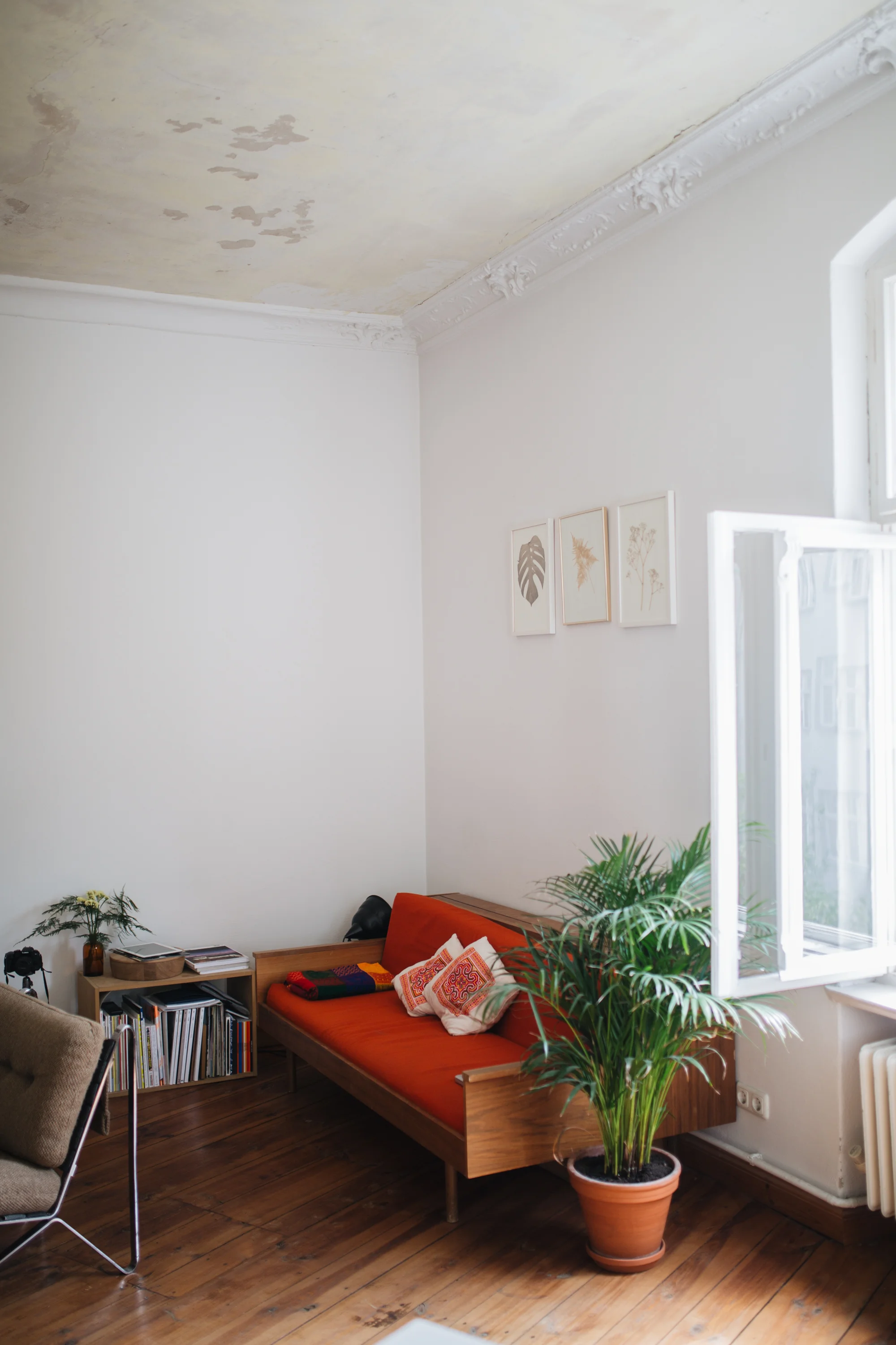 Zu Besuch bei den Machern von Acanthus