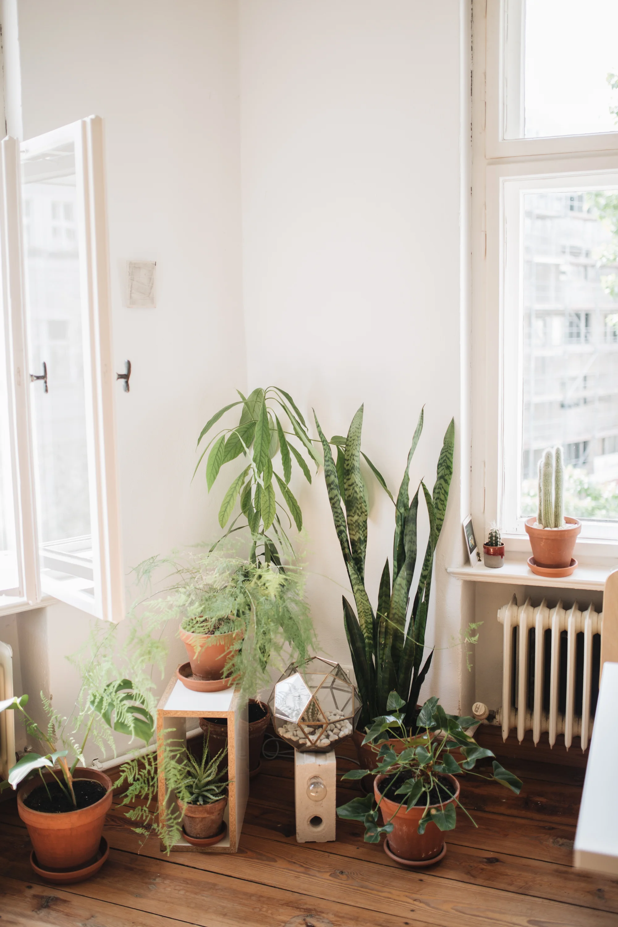 Zu Besuch bei den Machern von Acanthus