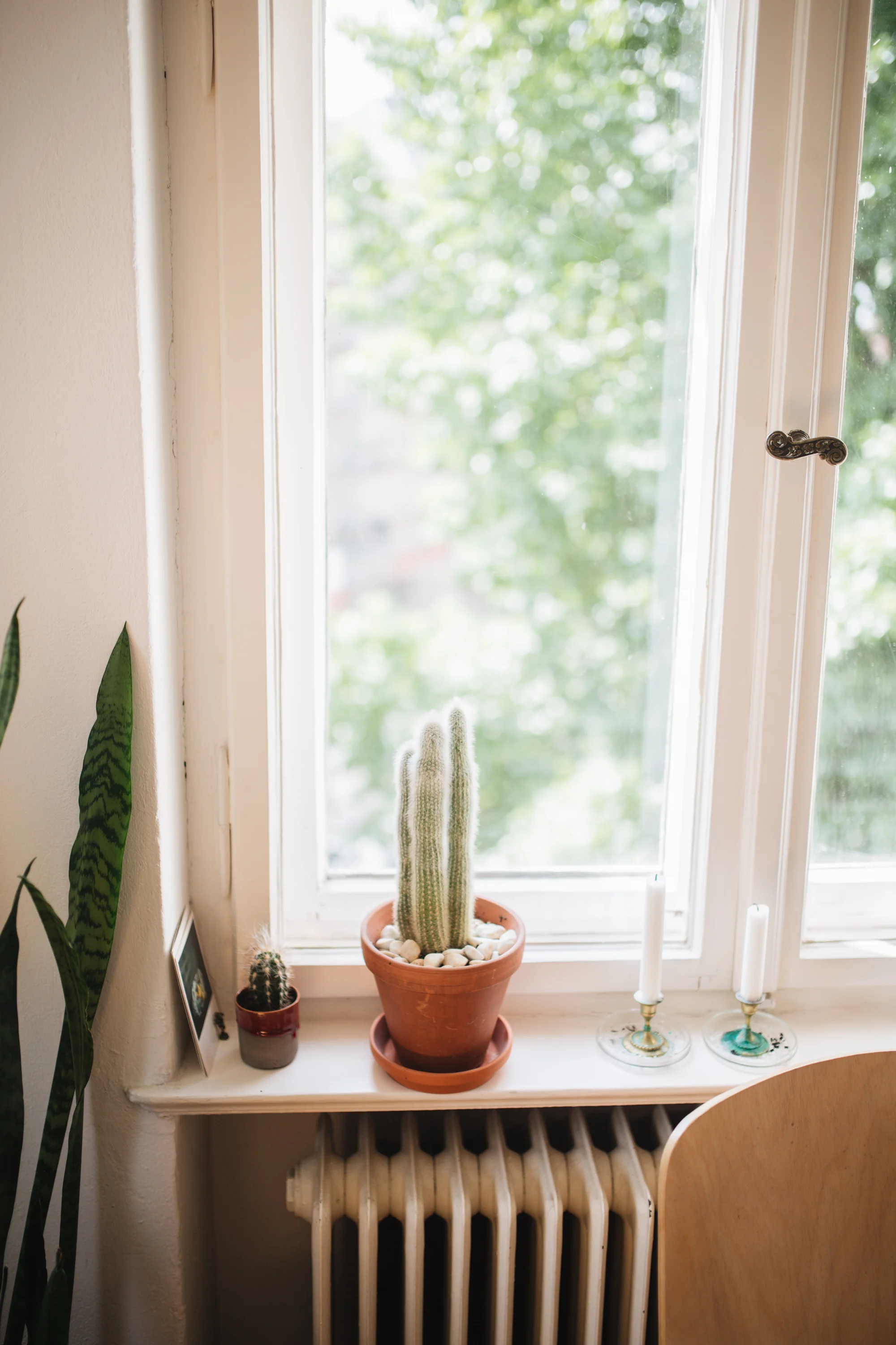 Zu Besuch bei den Machern von Acanthus