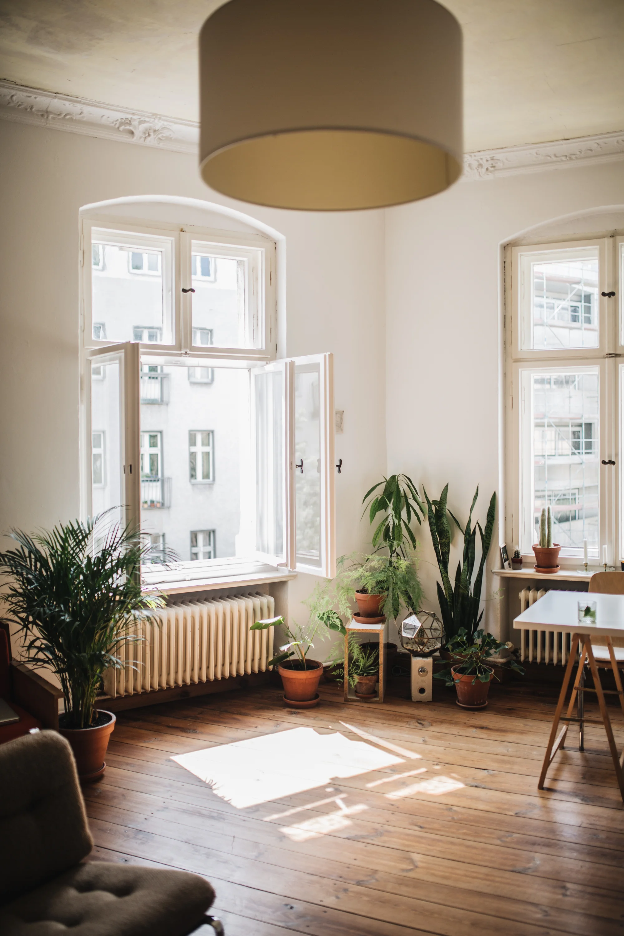 Zu Besuch bei den Machern von Acanthus