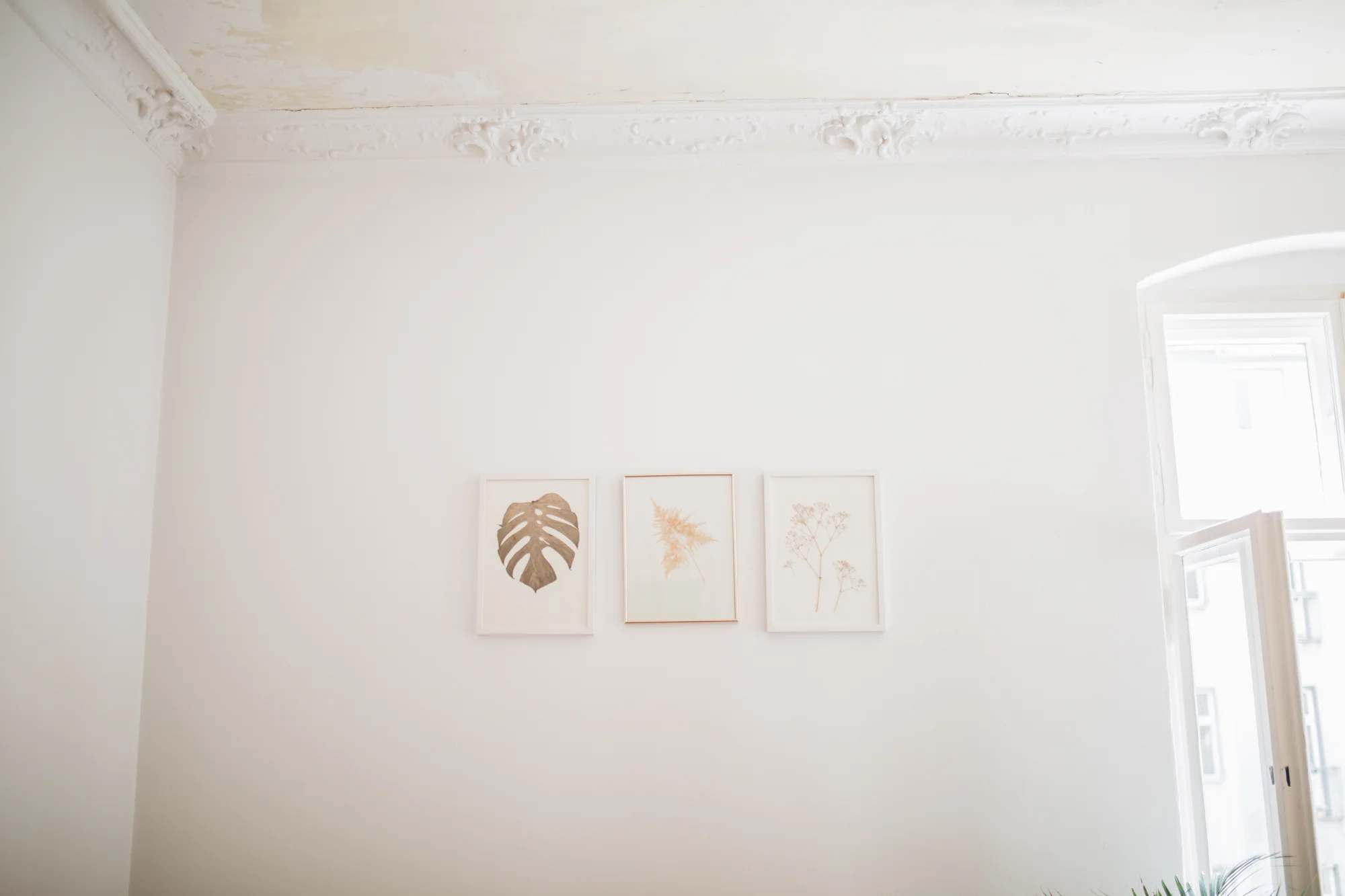 Zu Besuch bei den Machern von Acanthus