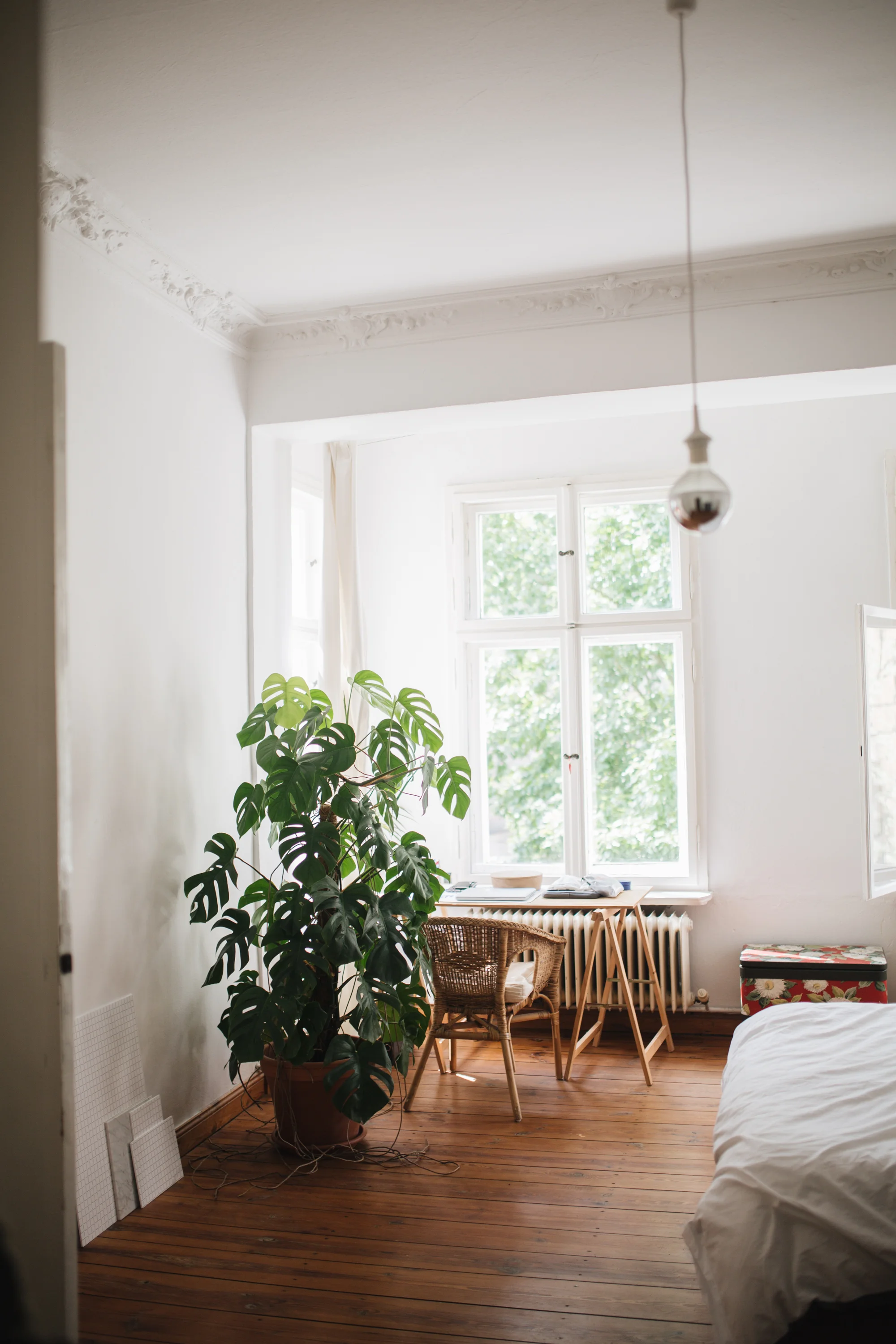 Zu Besuch bei den Machern von Acanthus