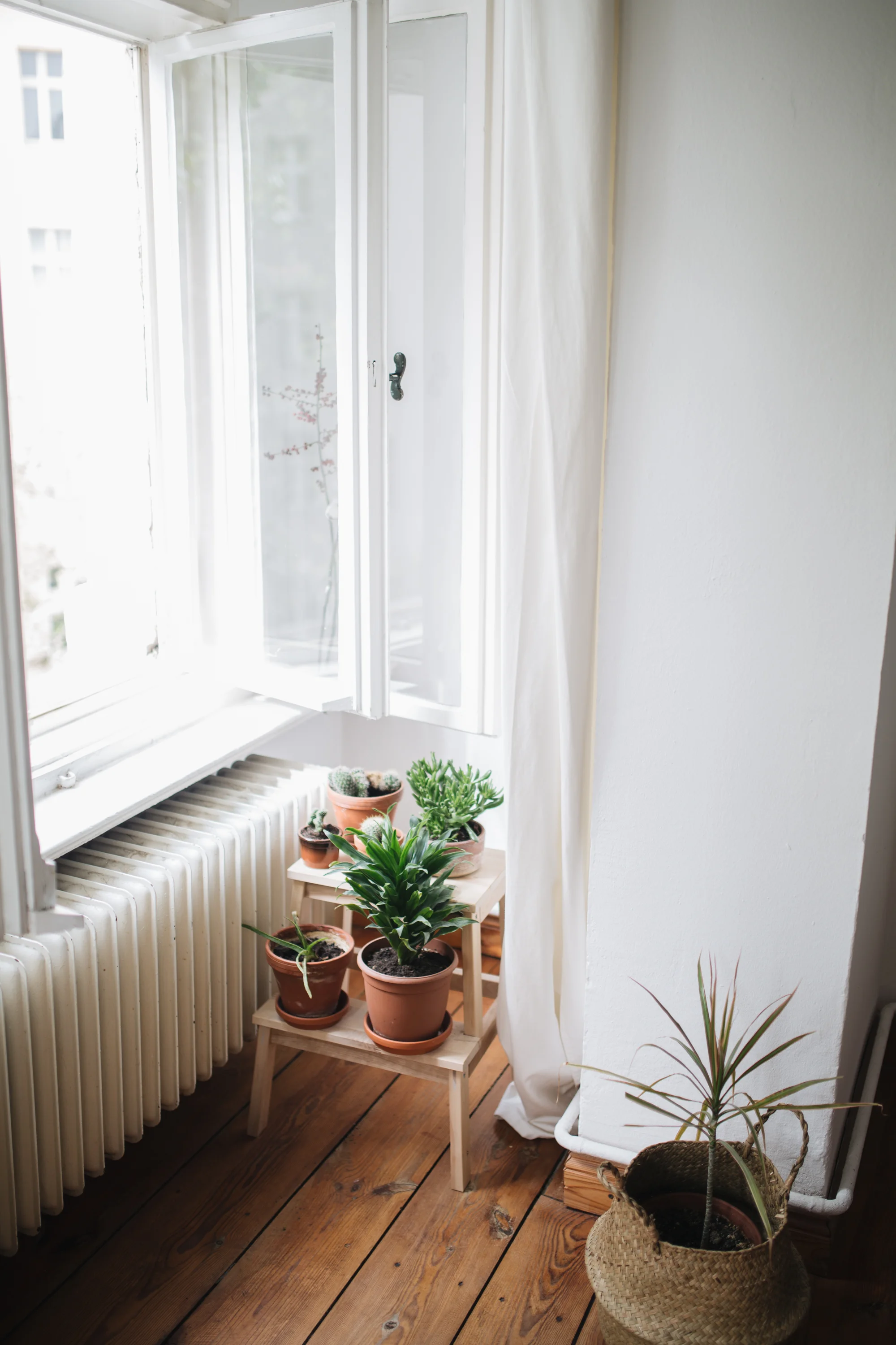 Zu Besuch bei den Machern von Acanthus