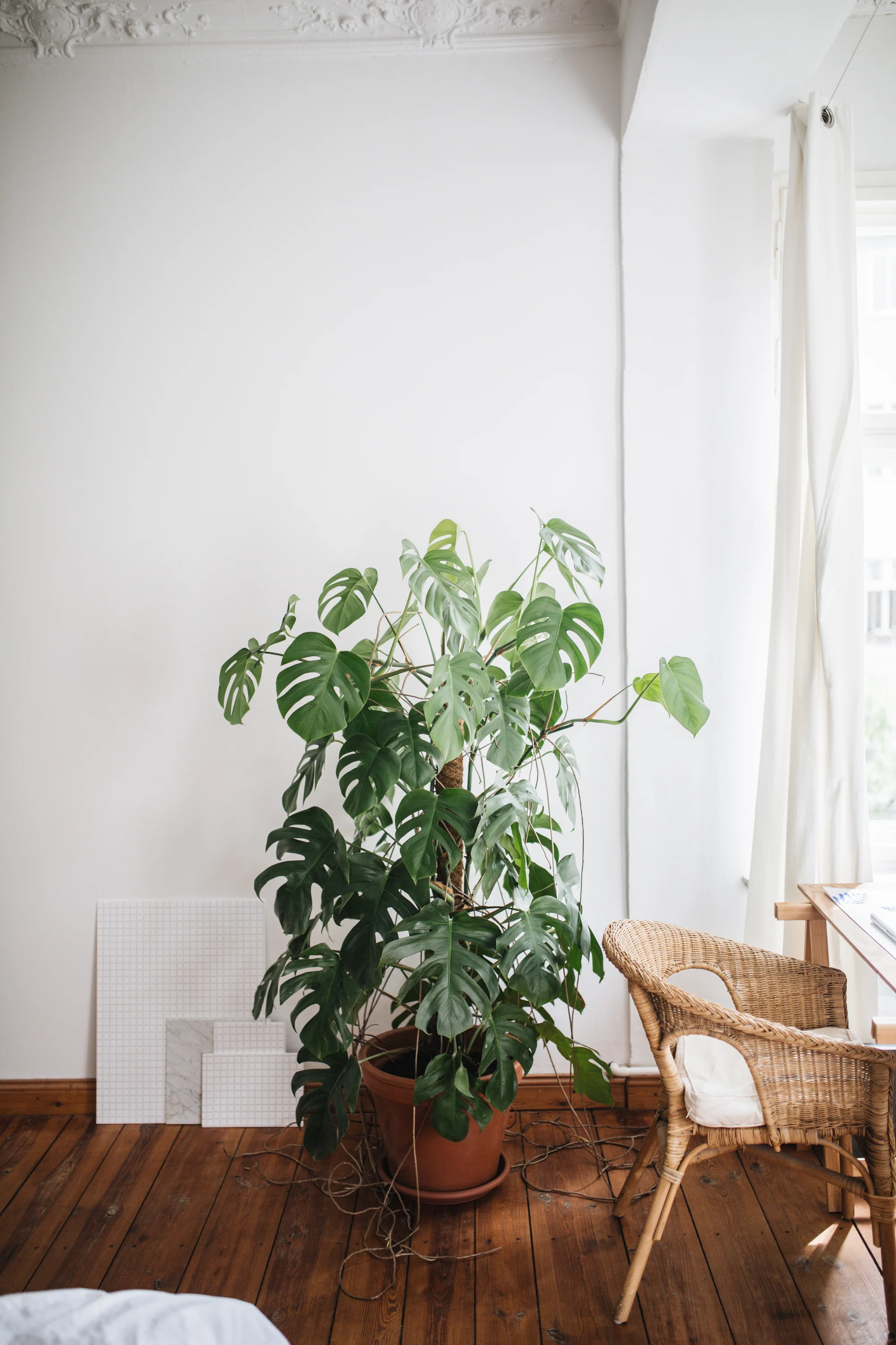 Zu Besuch bei den Machern von Acanthus