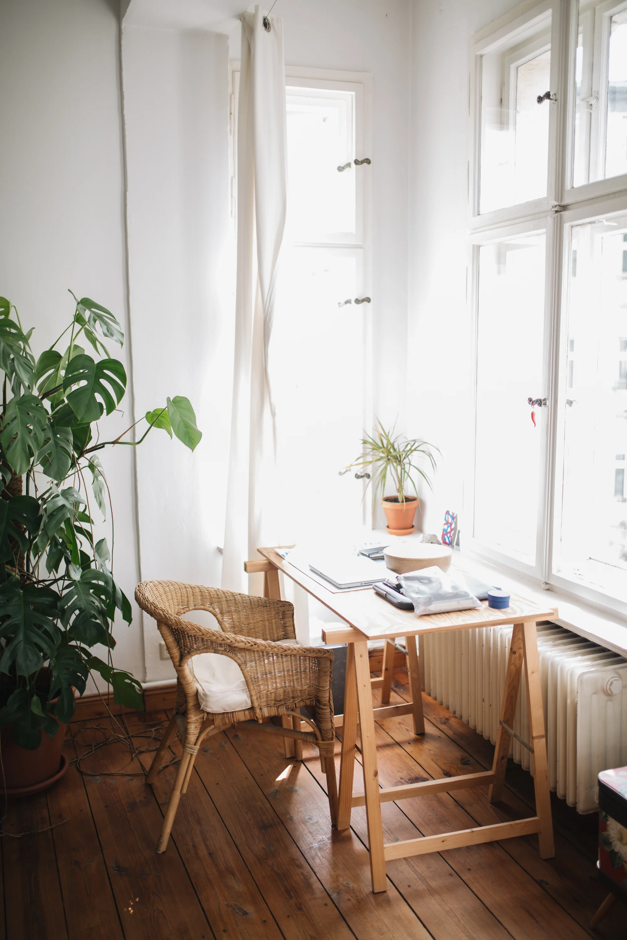 Zu Besuch bei den Machern von Acanthus