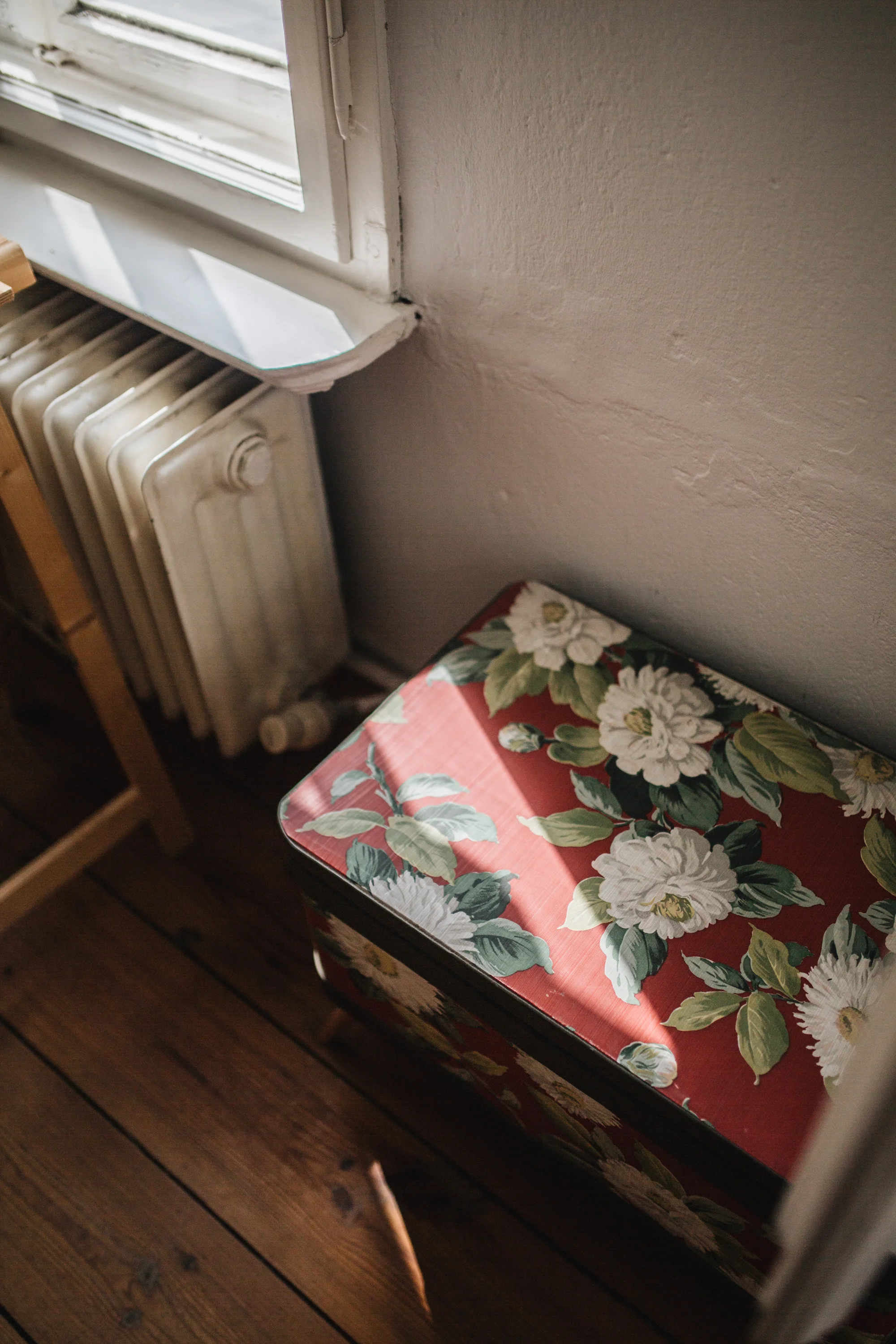 Zu Besuch bei den Machern von Acanthus