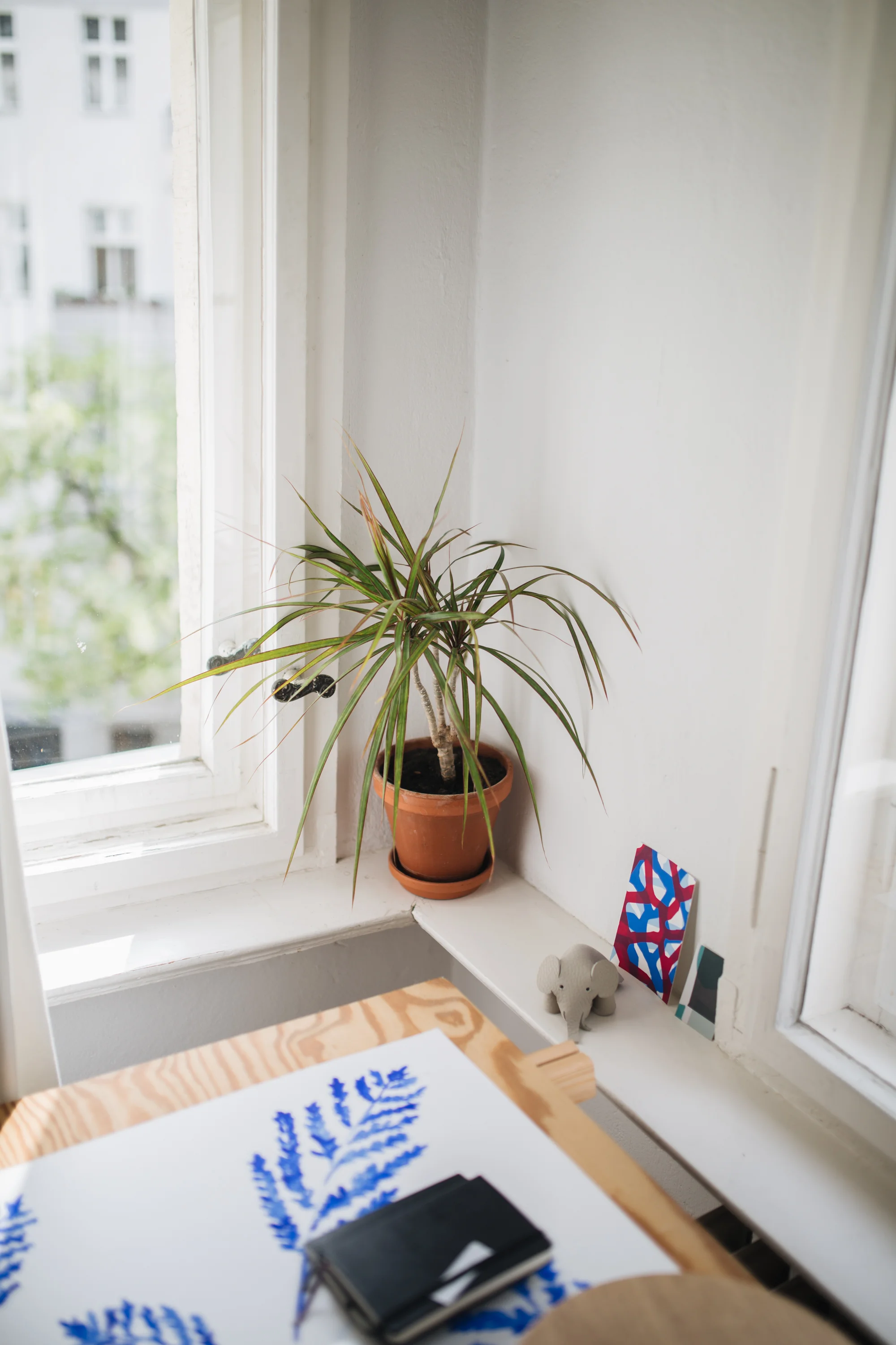 Zu Besuch bei den Machern von Acanthus