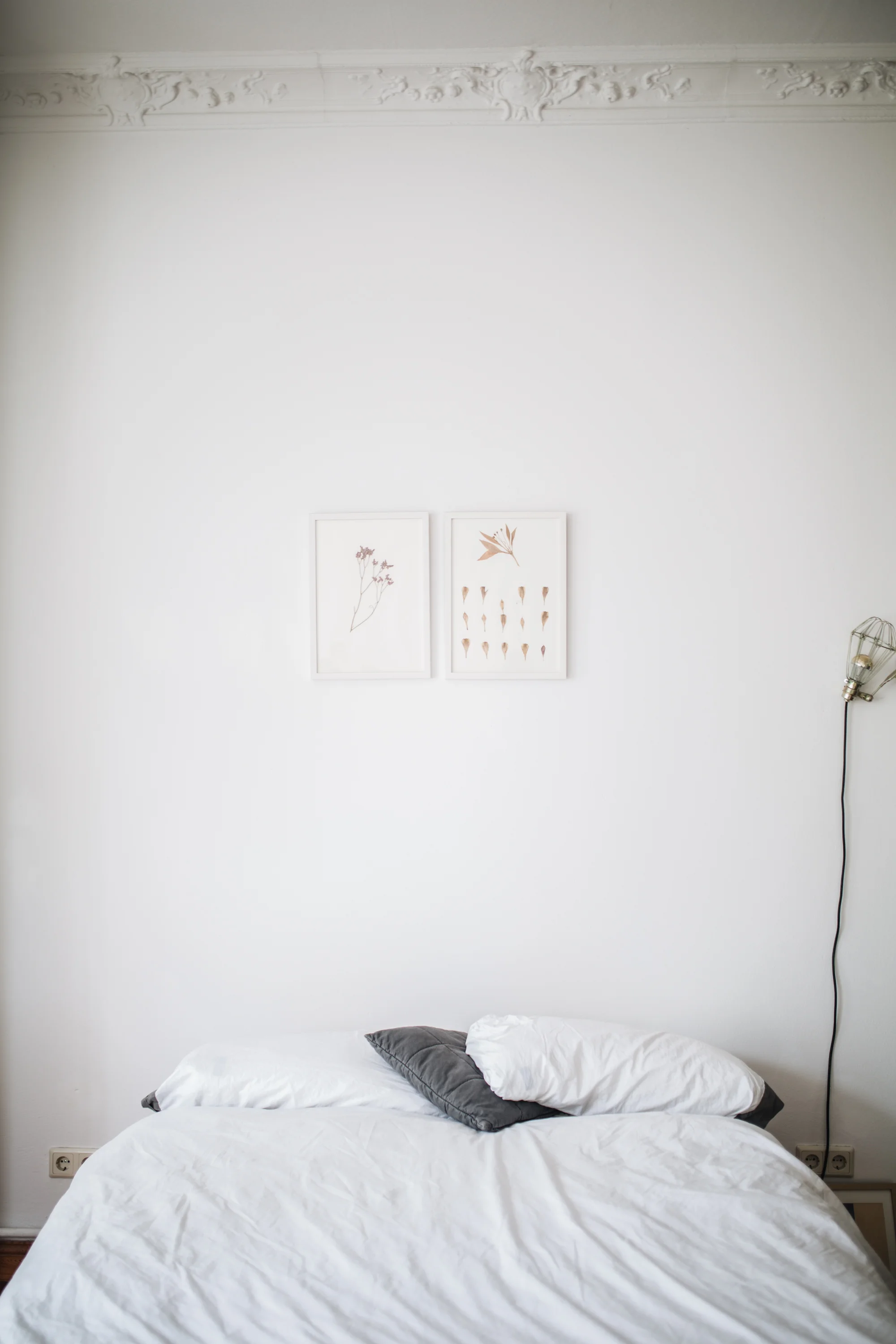 Zu Besuch bei den Machern von Acanthus