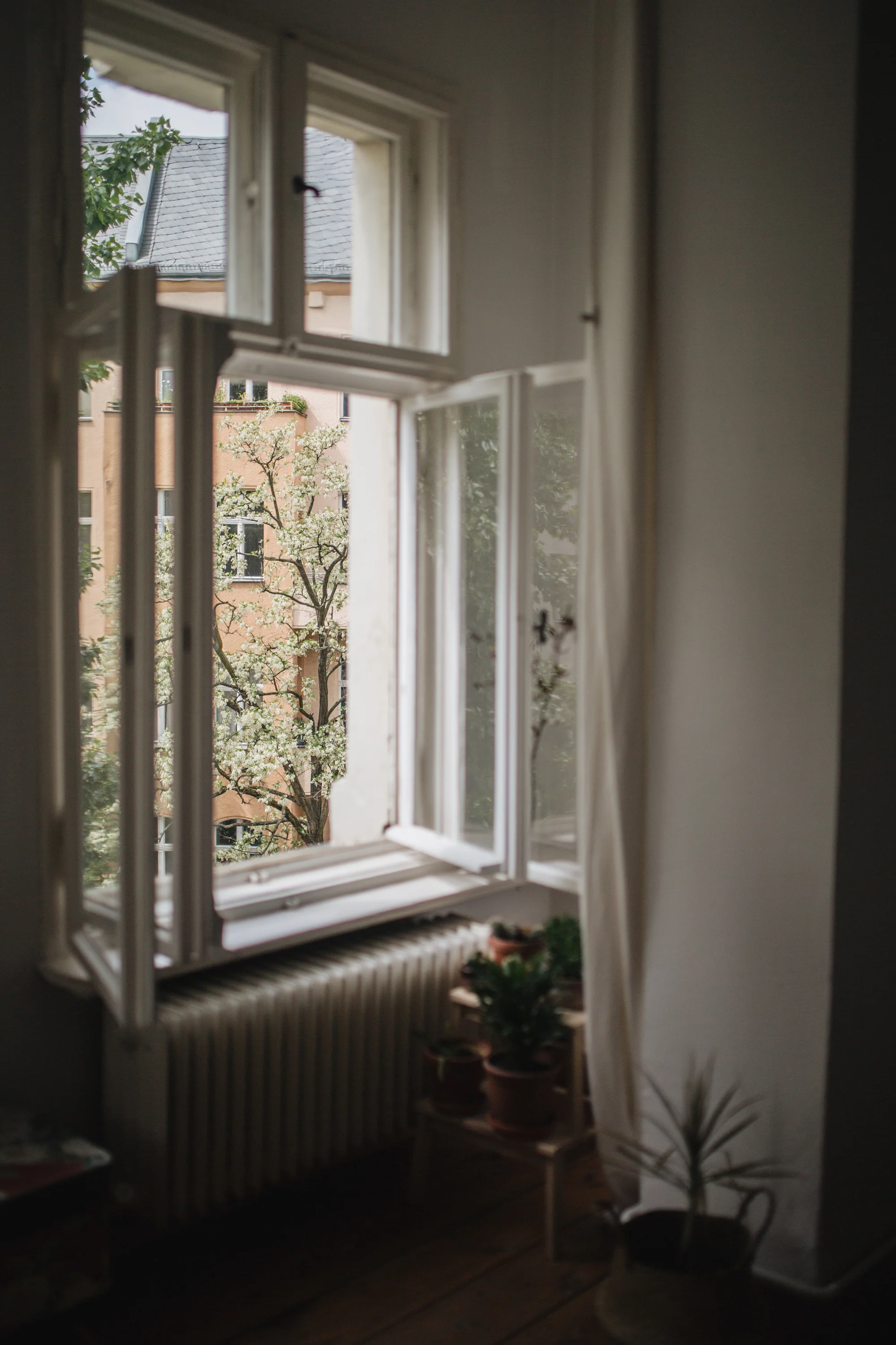 Zu Besuch bei den Machern von Acanthus