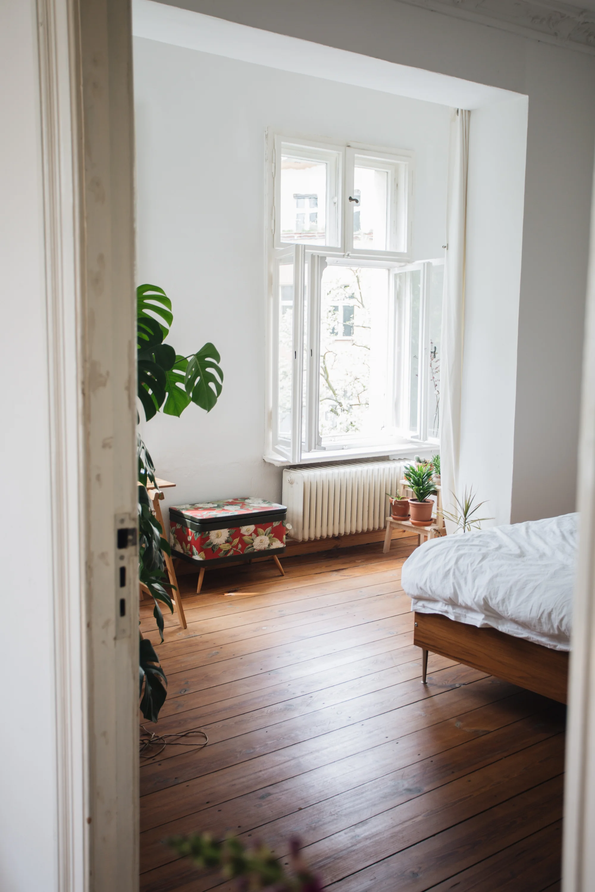 Zu Besuch bei den Machern von Acanthus