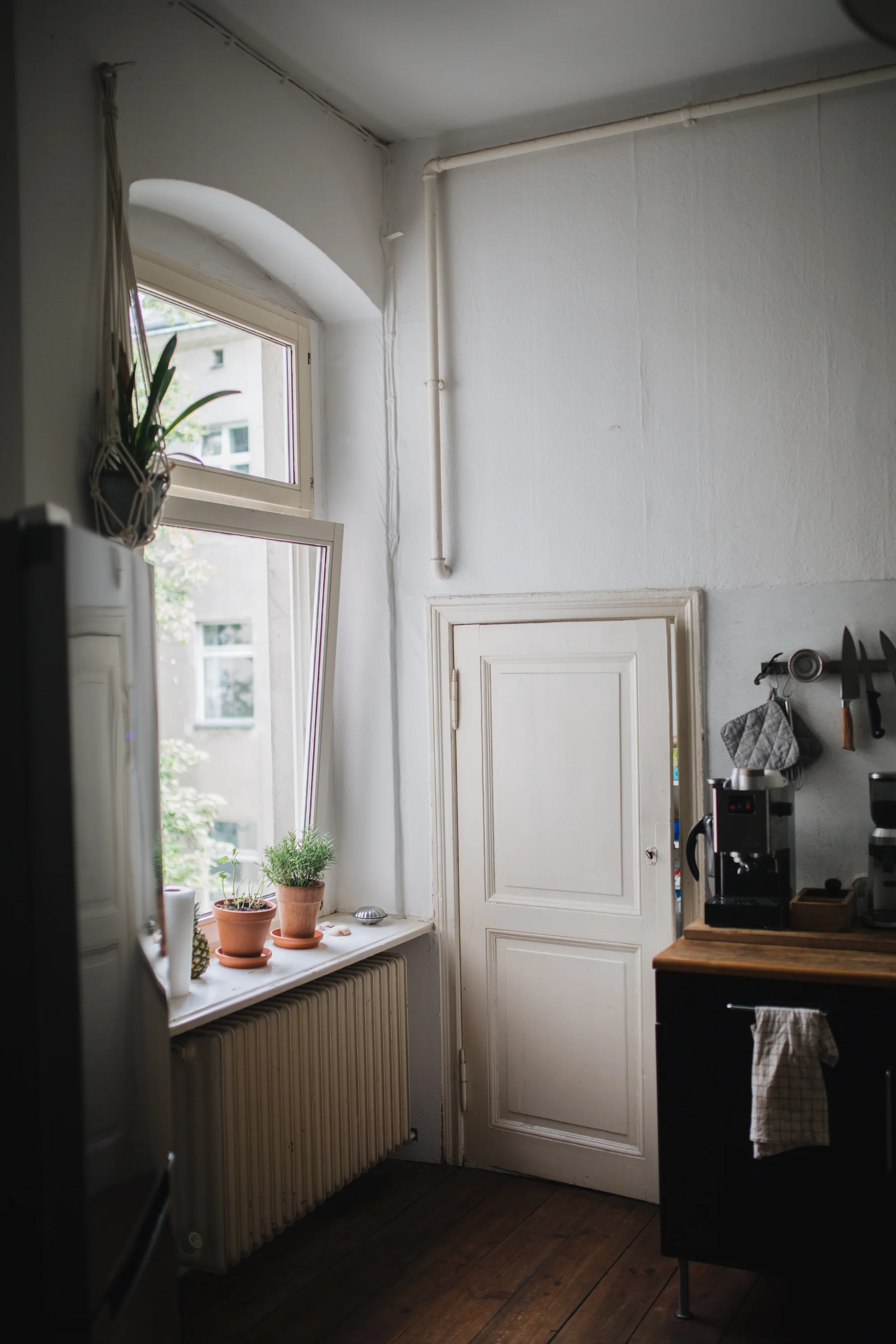 Zu Besuch bei den Machern von Acanthus