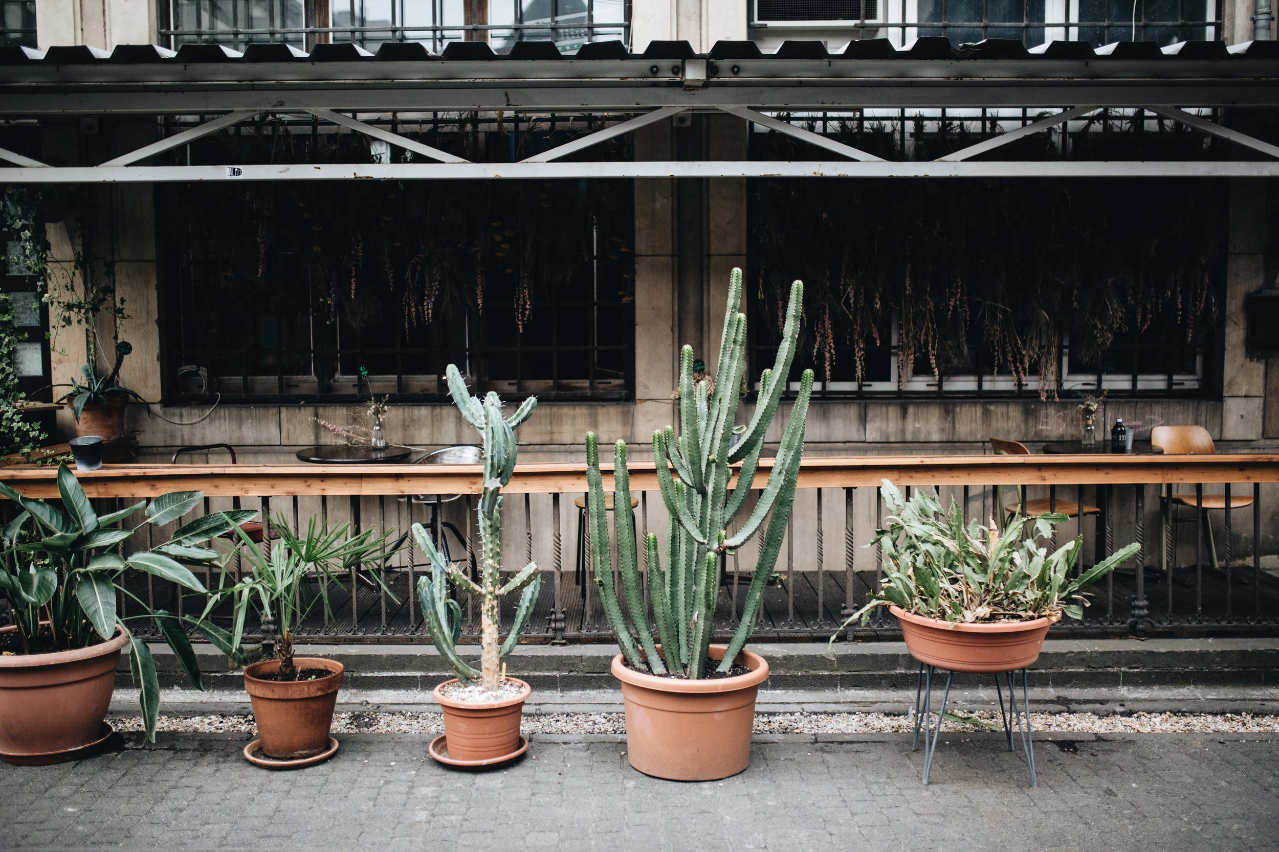 Es grünt „The Greens“