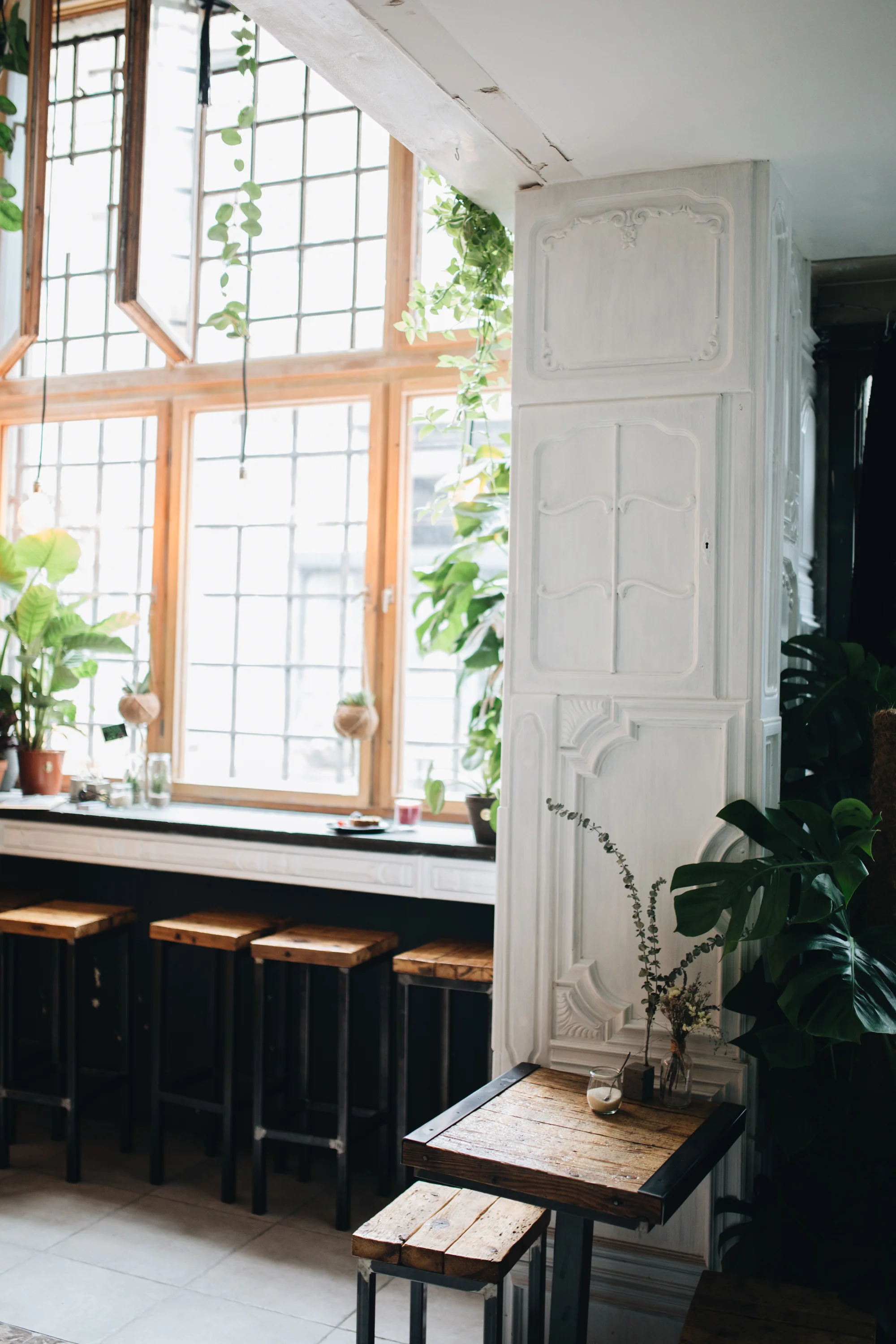 Es grünt „The Greens“