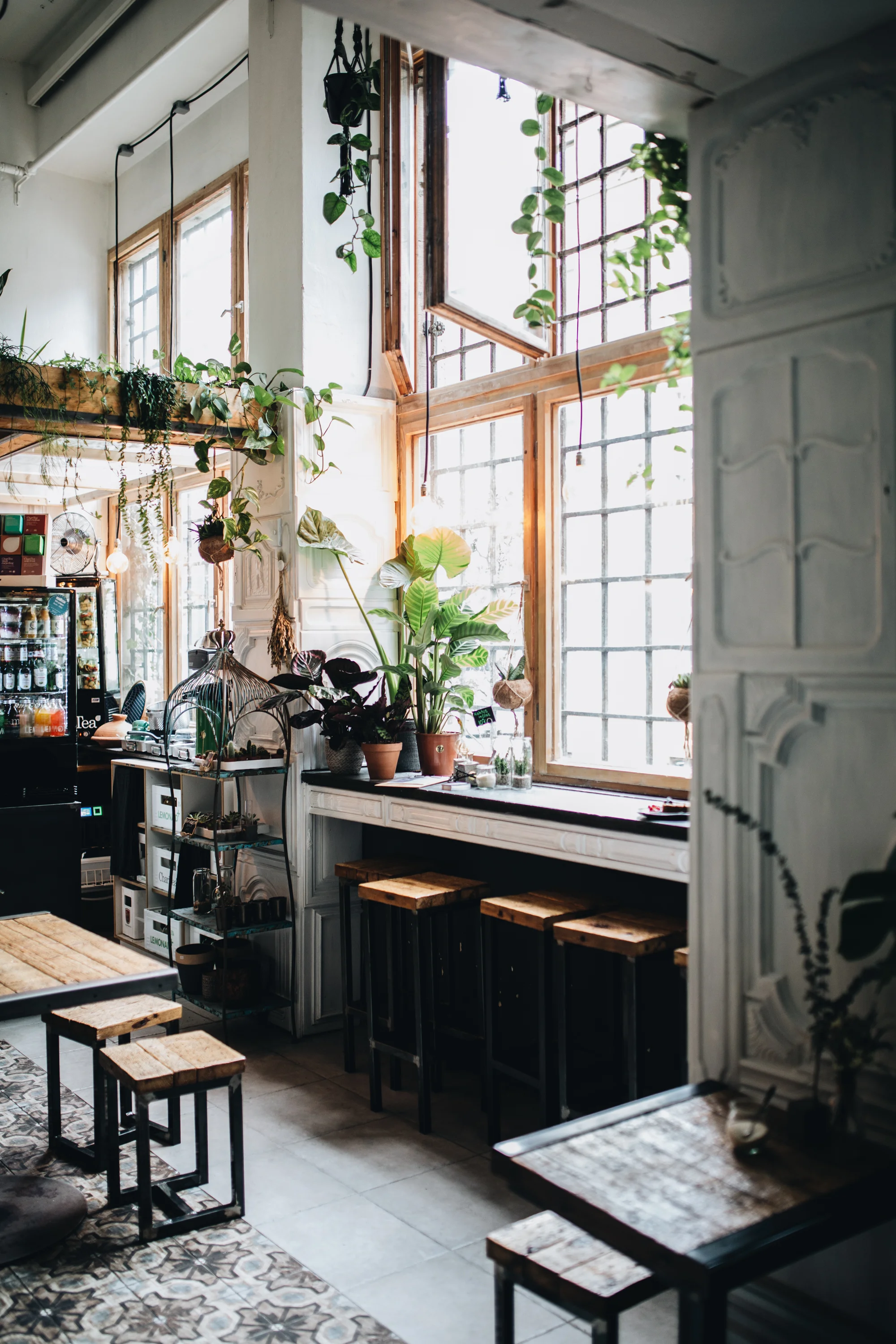 Es grünt „The Greens“