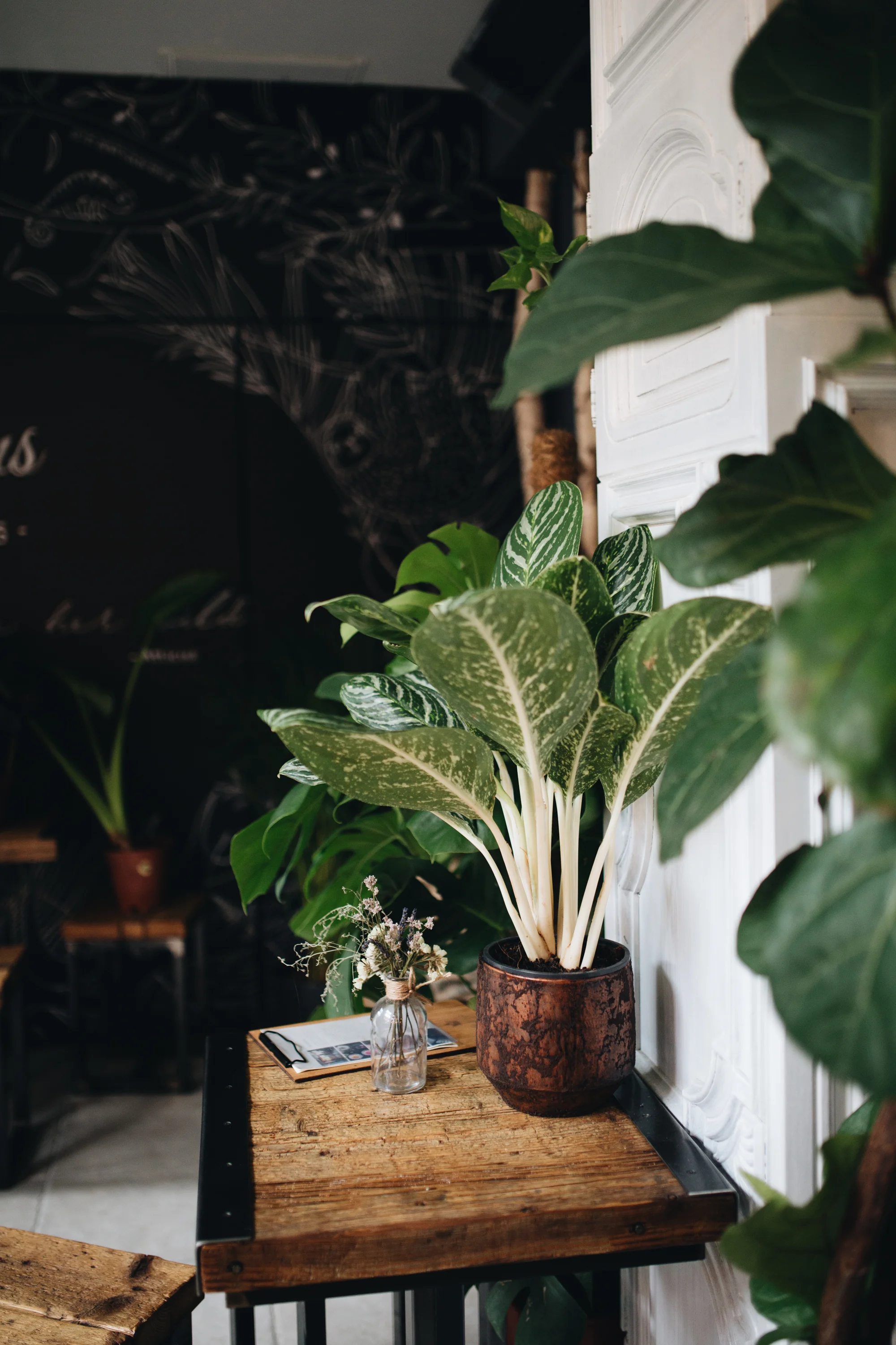 Es grünt „The Greens“