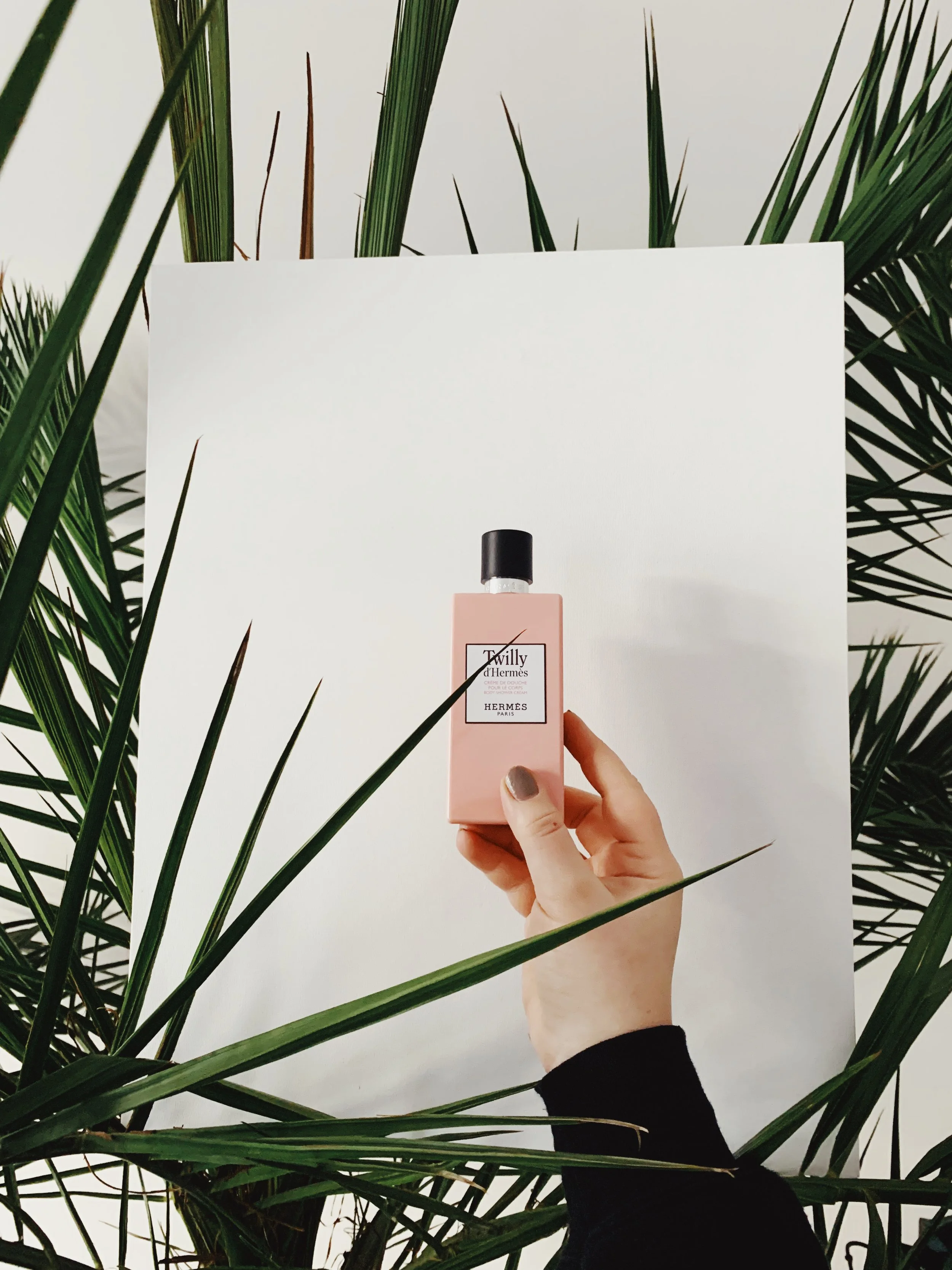 Beaty Favoriten Januar