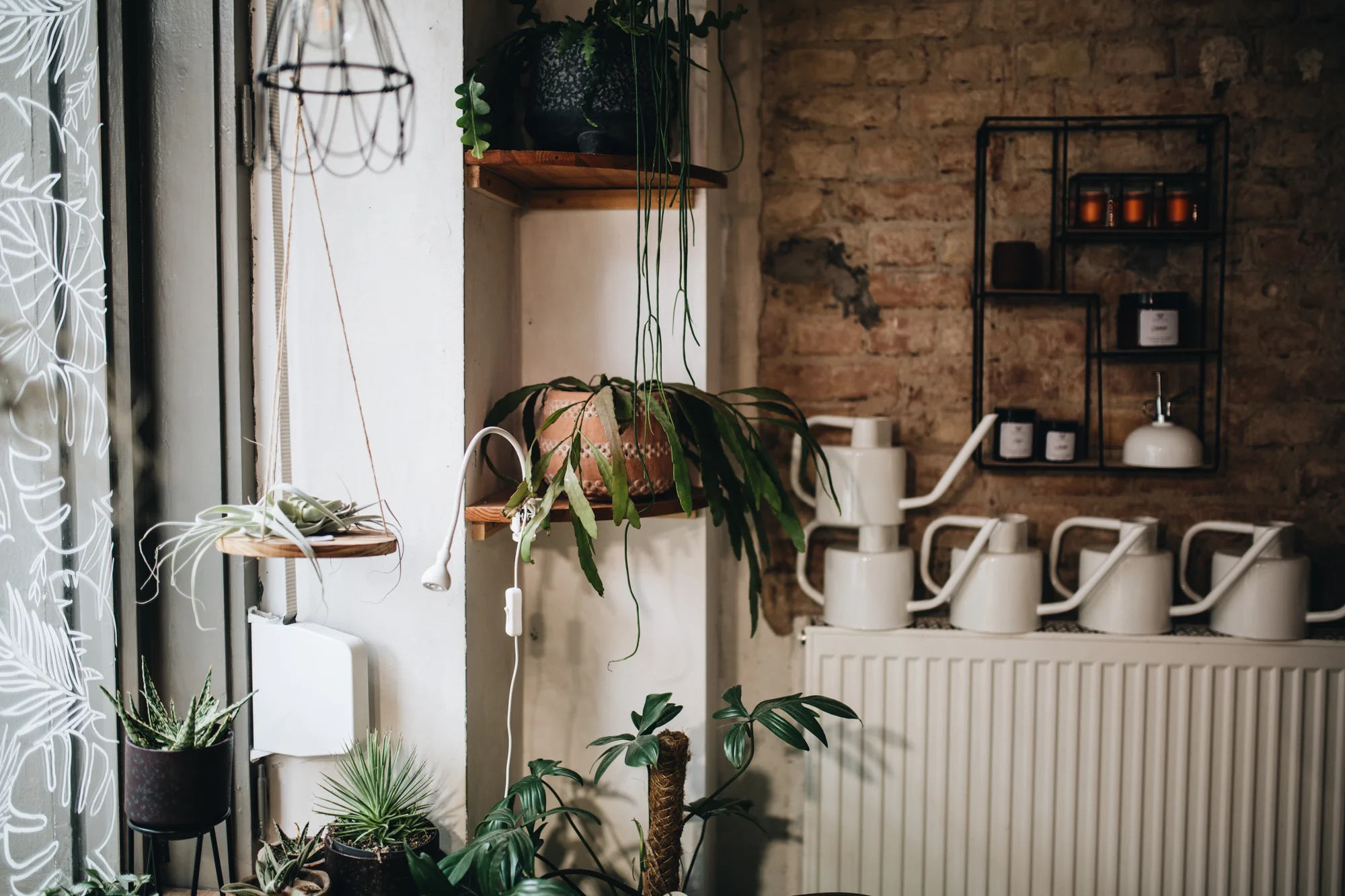 Plant Circle + DIY (74 von 213).jpg