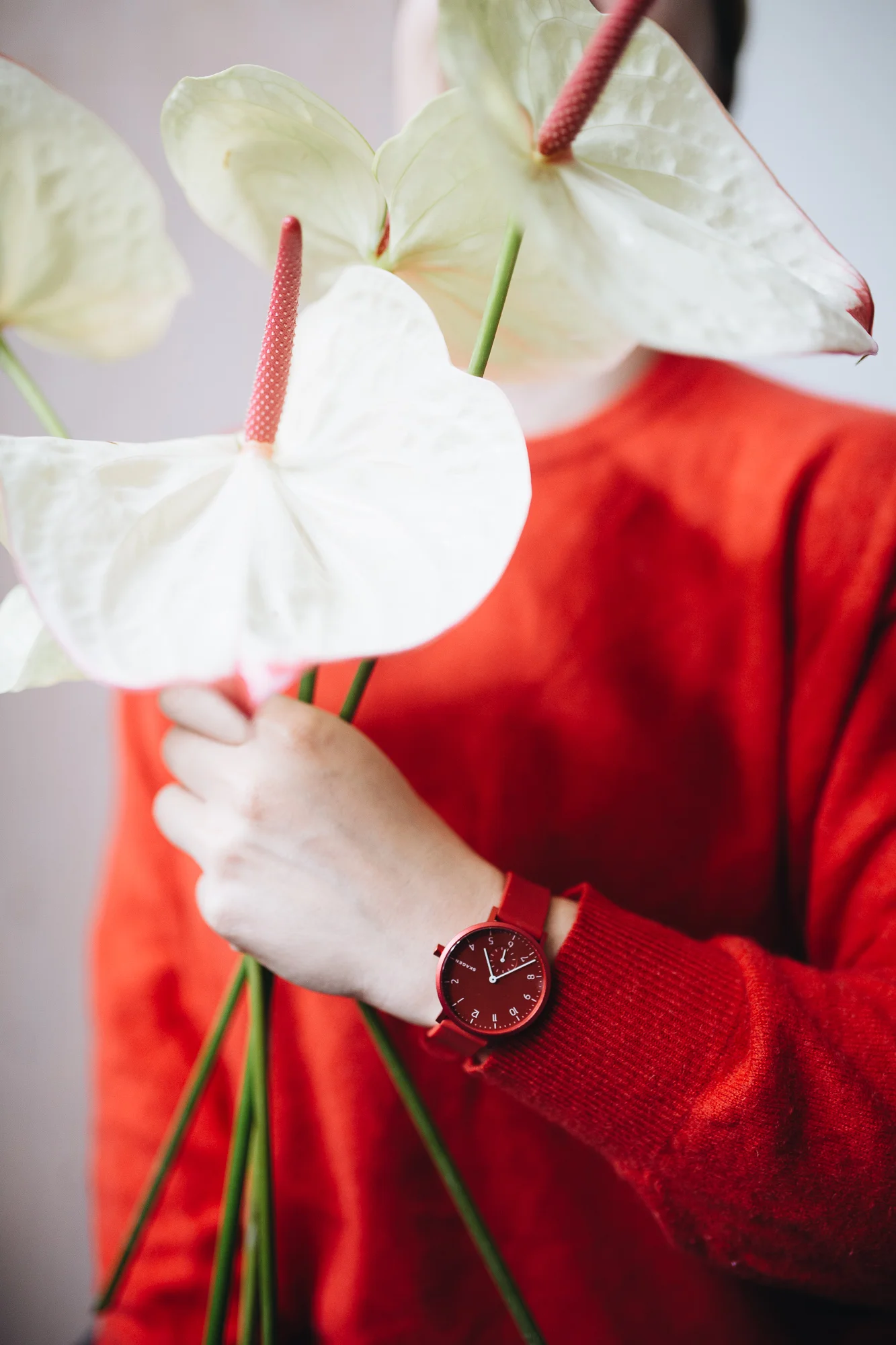 Skagen Aaren Kulor x Herz&Blut