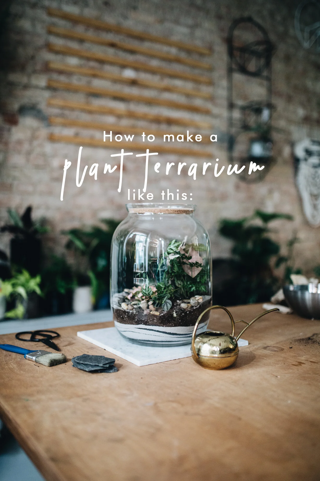 Diy Pflanzenterrarium Herz Und Blut Interior Design Lifestyle Travel Blog