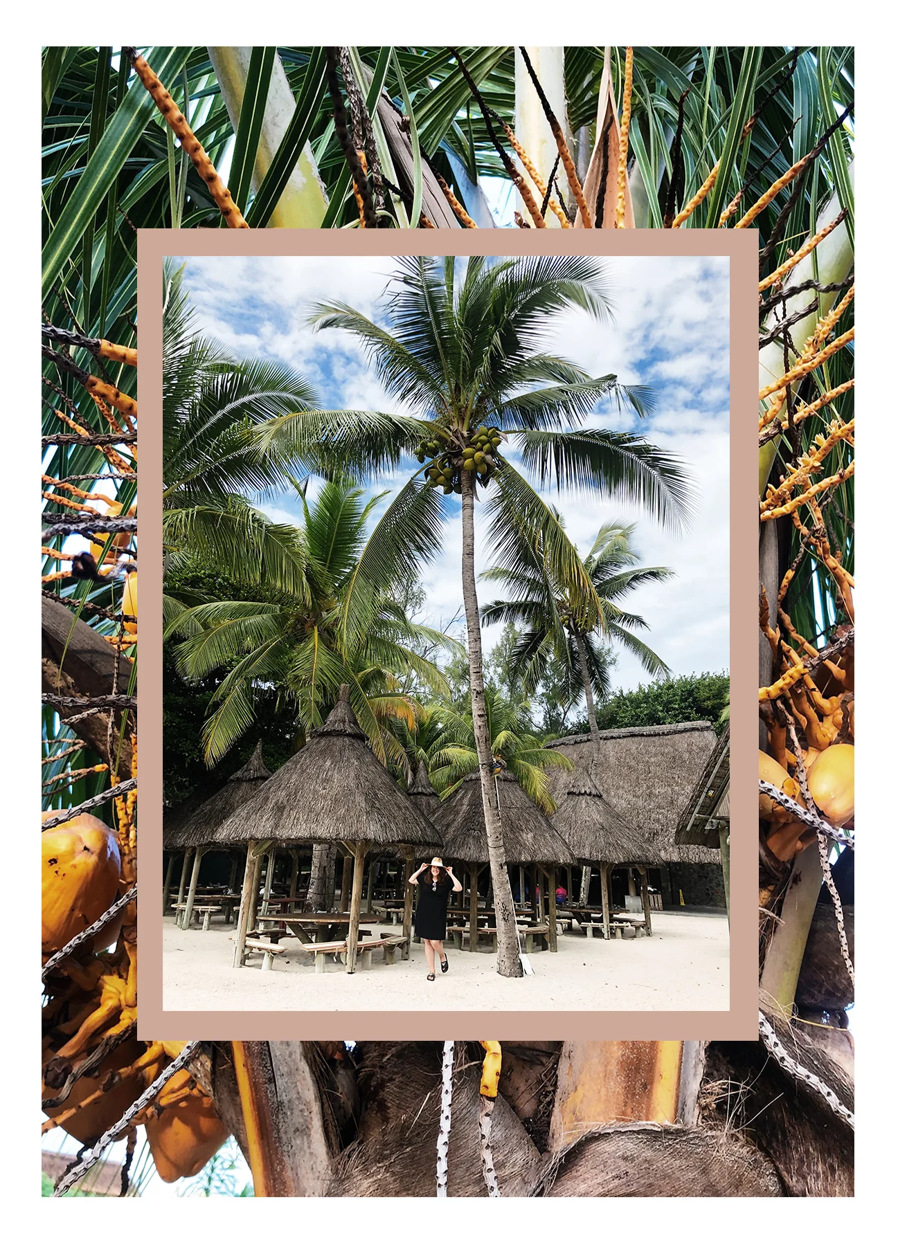 Wie wächst eigentlich Ananas? Travel Guide Mauritius