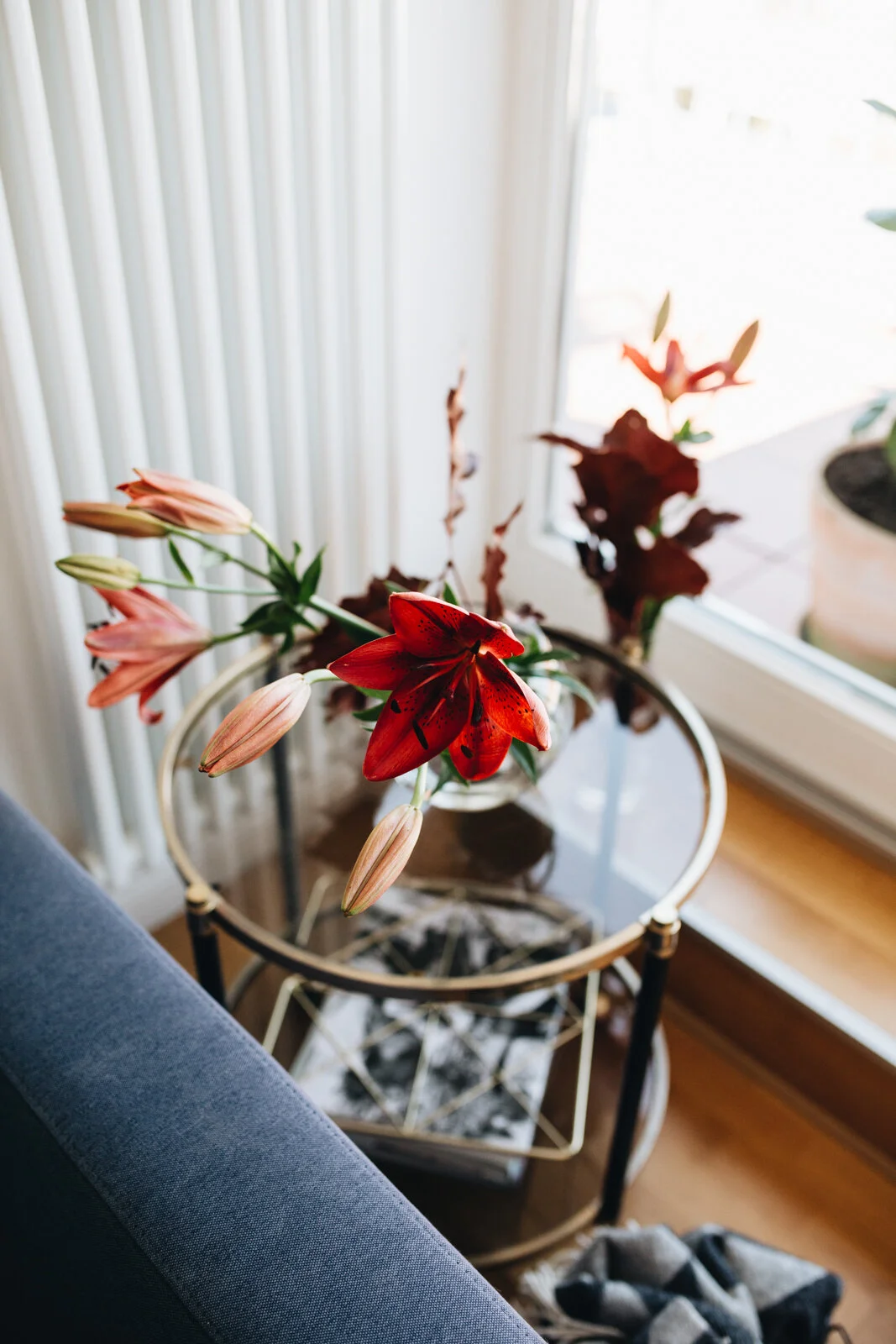 Zu Besuch bei Kreadiano