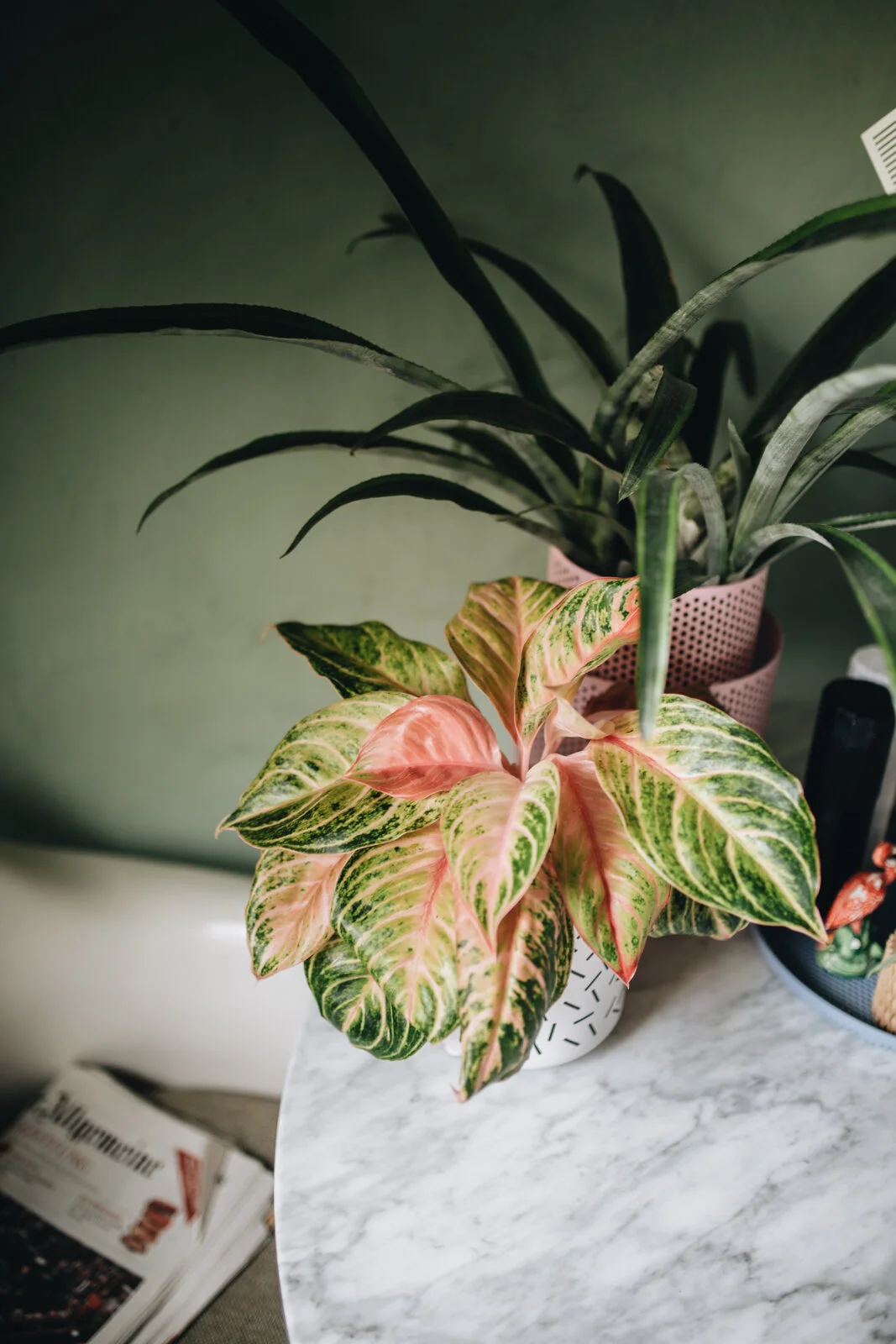 Zu Besuch bei Mike Klar